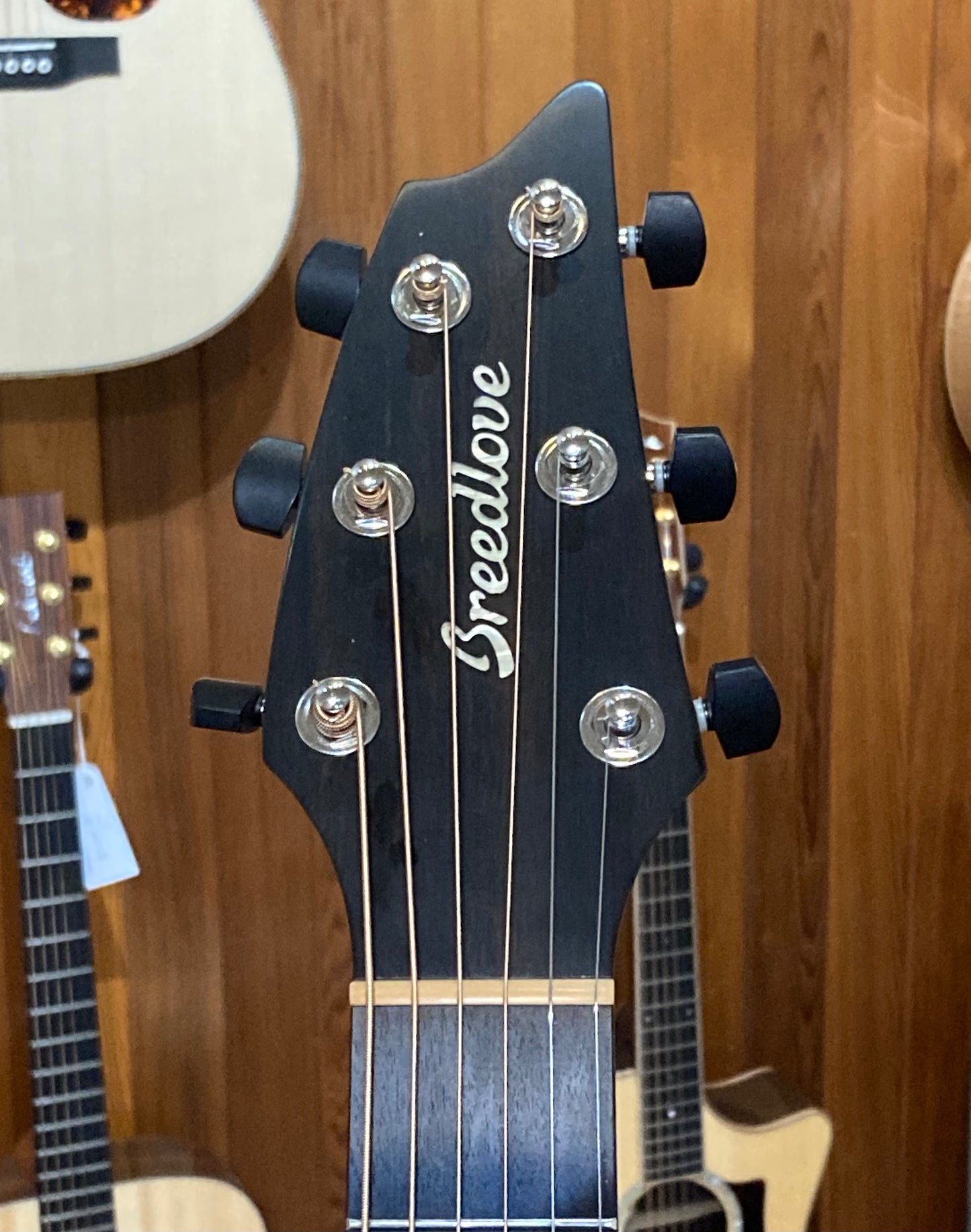 Breedlove Premier Auditorium Acoustic-Electric Guitar w/Case (2017)