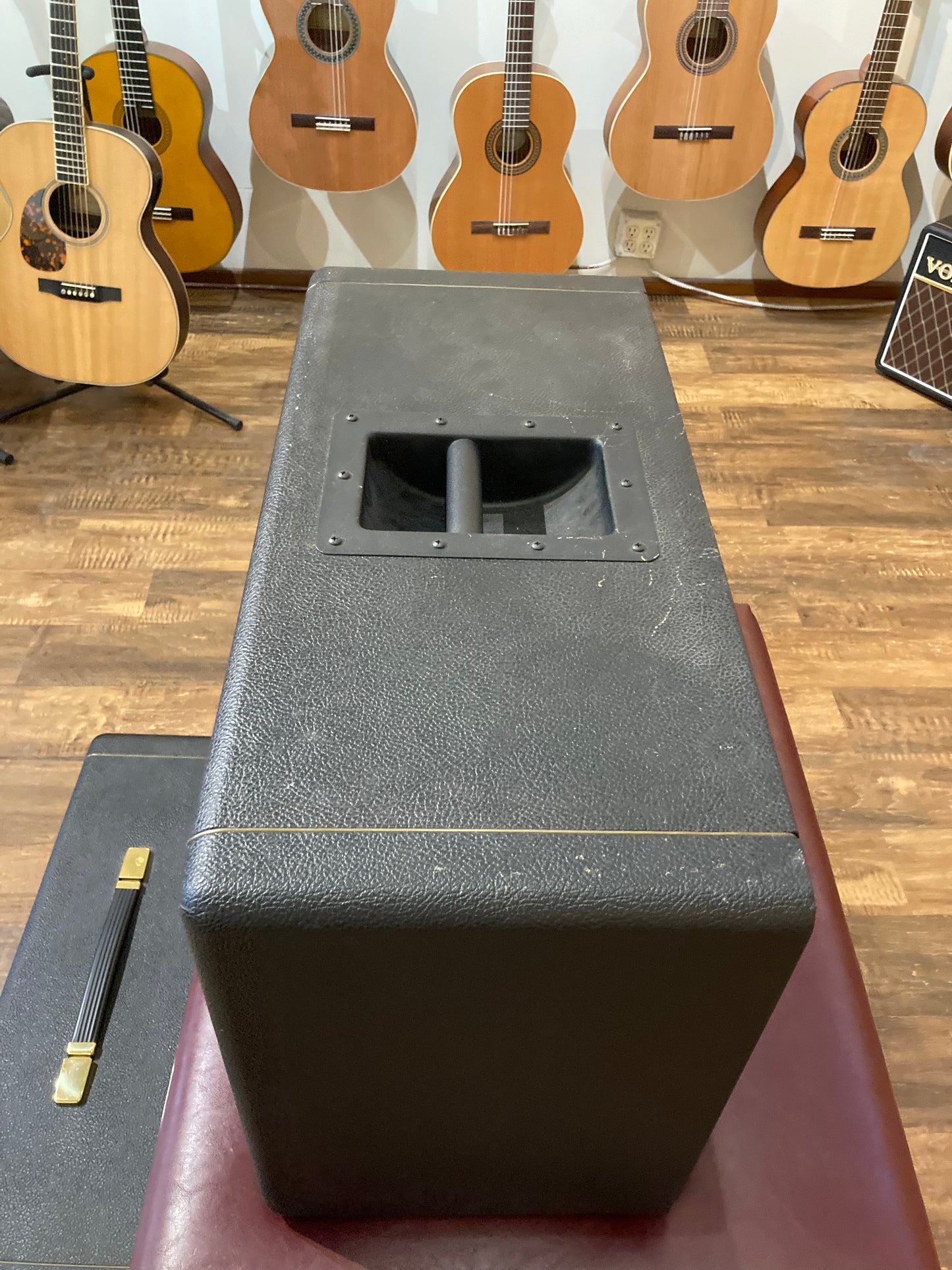 Li'l Dawg Amps "The Pug Reverb" w/2x10 Cabinet & Amp Cover (2009)