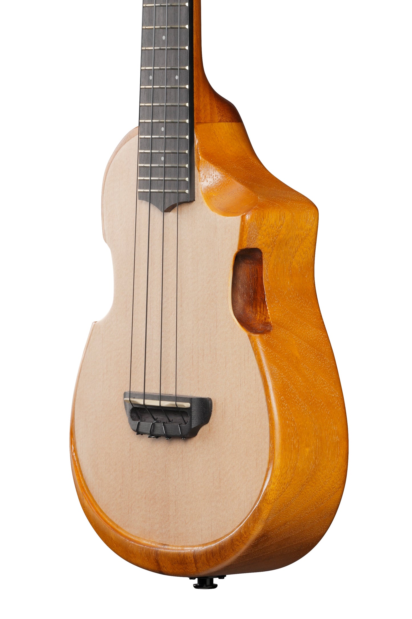 Ibanez AUC10E Acoustic/Electric Concert Ukulele w/Gig Bag - Open Pore Natural