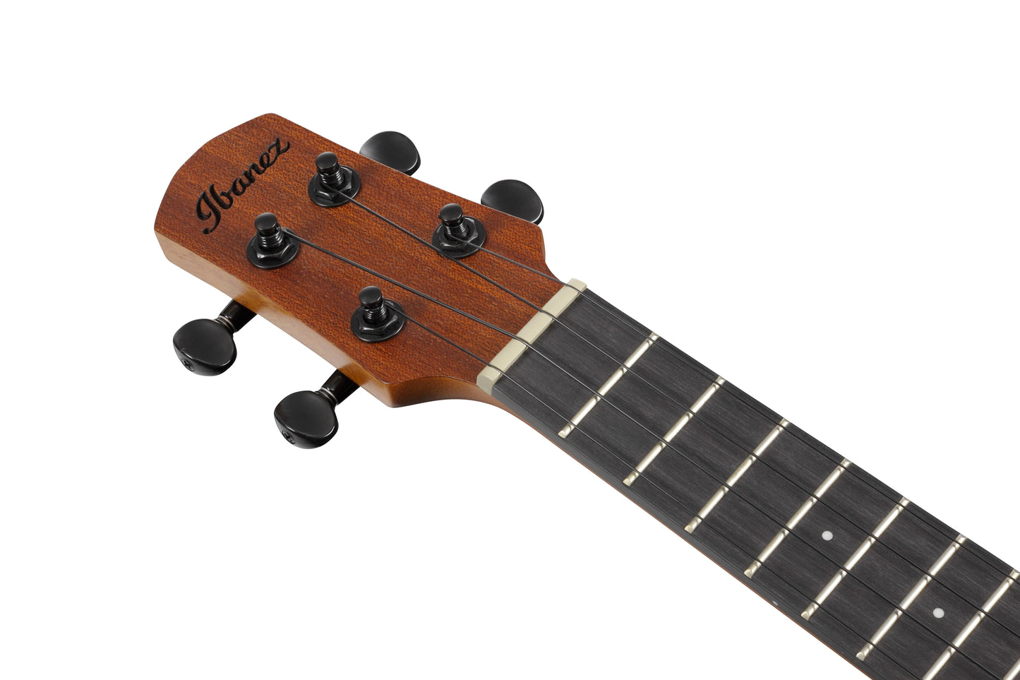Ibanez AUC10E Acoustic/Electric Concert Ukulele w/Gig Bag - Open Pore Natural