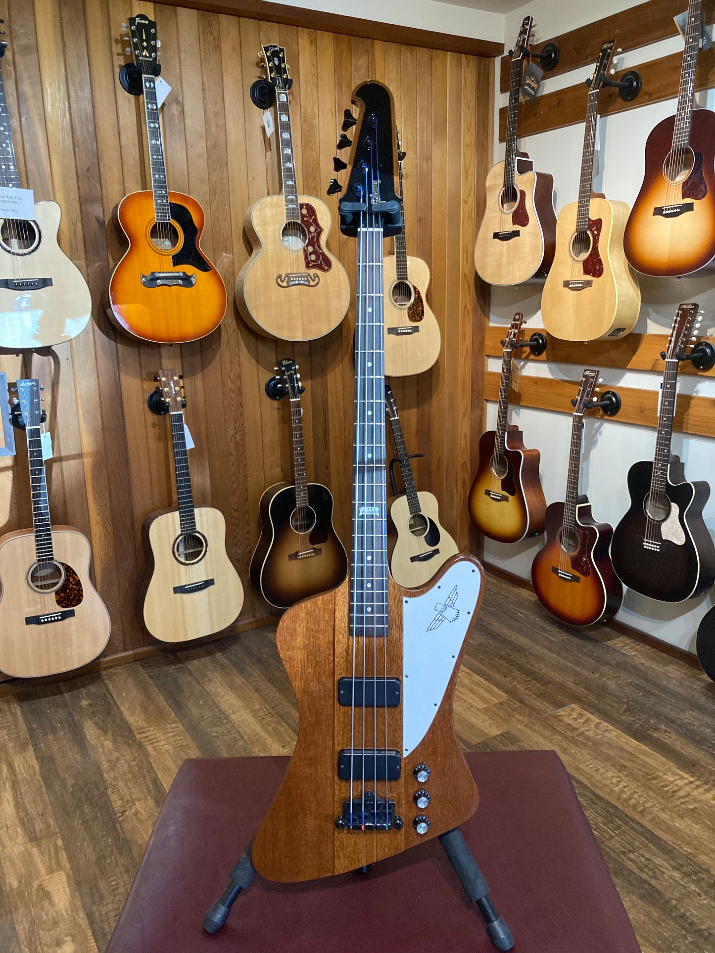 Gibson 120th Anniversary Thunderbird IV Bass w/Case - Natural (2014)