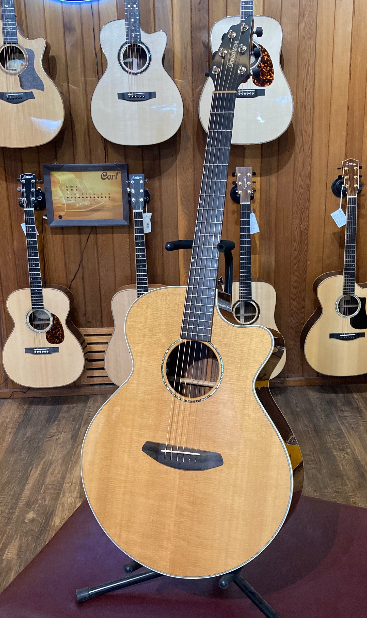 Breedlove Premier Auditorium Acoustic-Electric Guitar w/Case (2017)