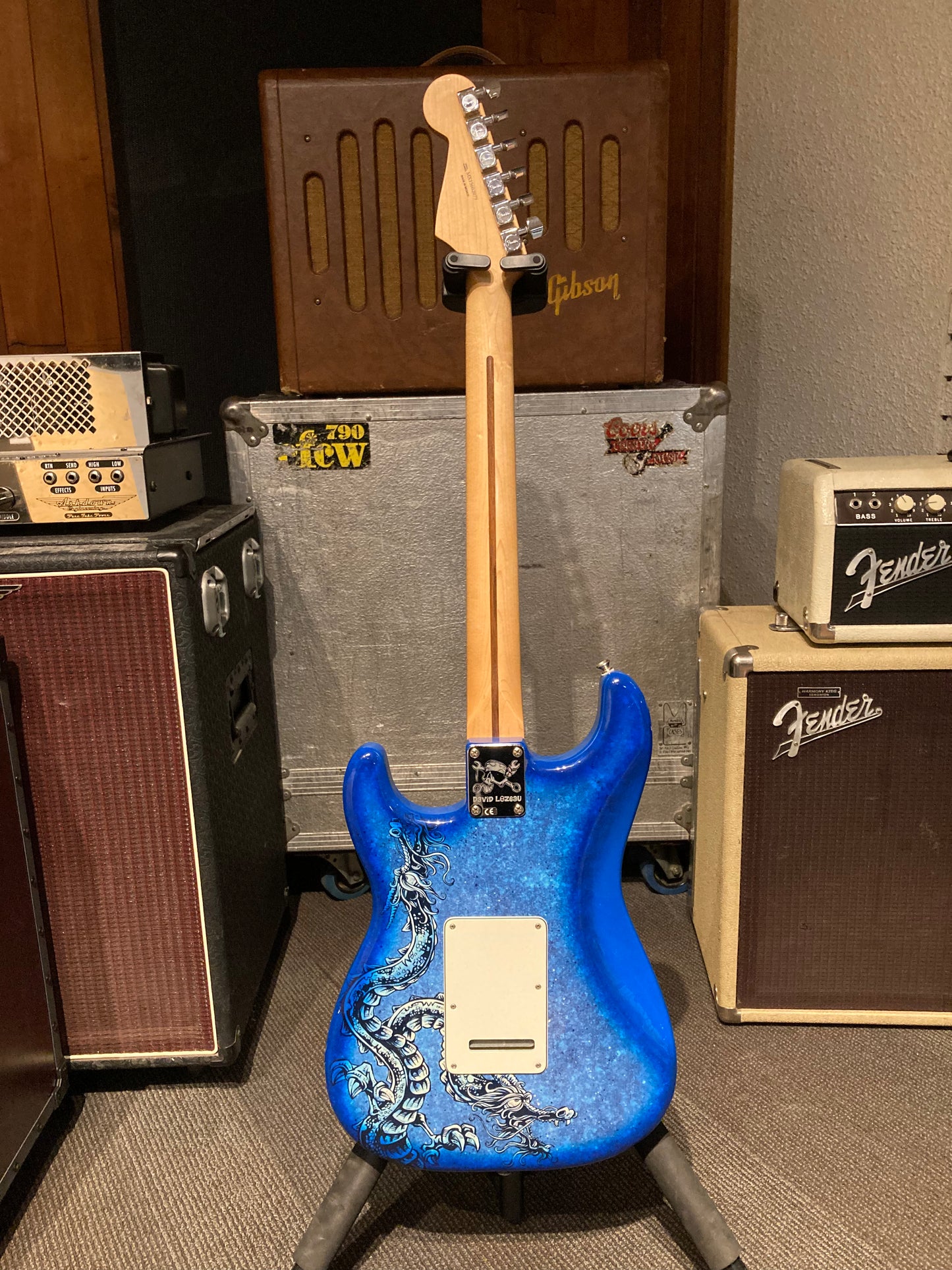 Fender Special Edition David Lozeau Art Stratocaster® w/Gig Bagbag - Blue Dragon (2015)