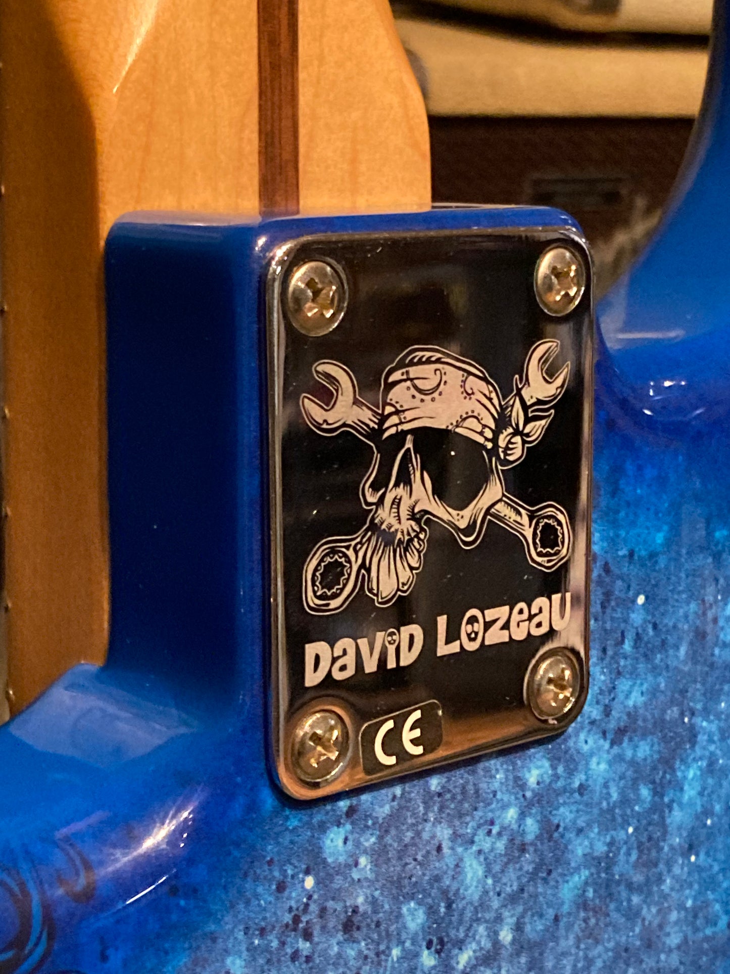 Fender Special Edition David Lozeau Art Stratocaster® w/Gig Bagbag - Blue Dragon (2015)