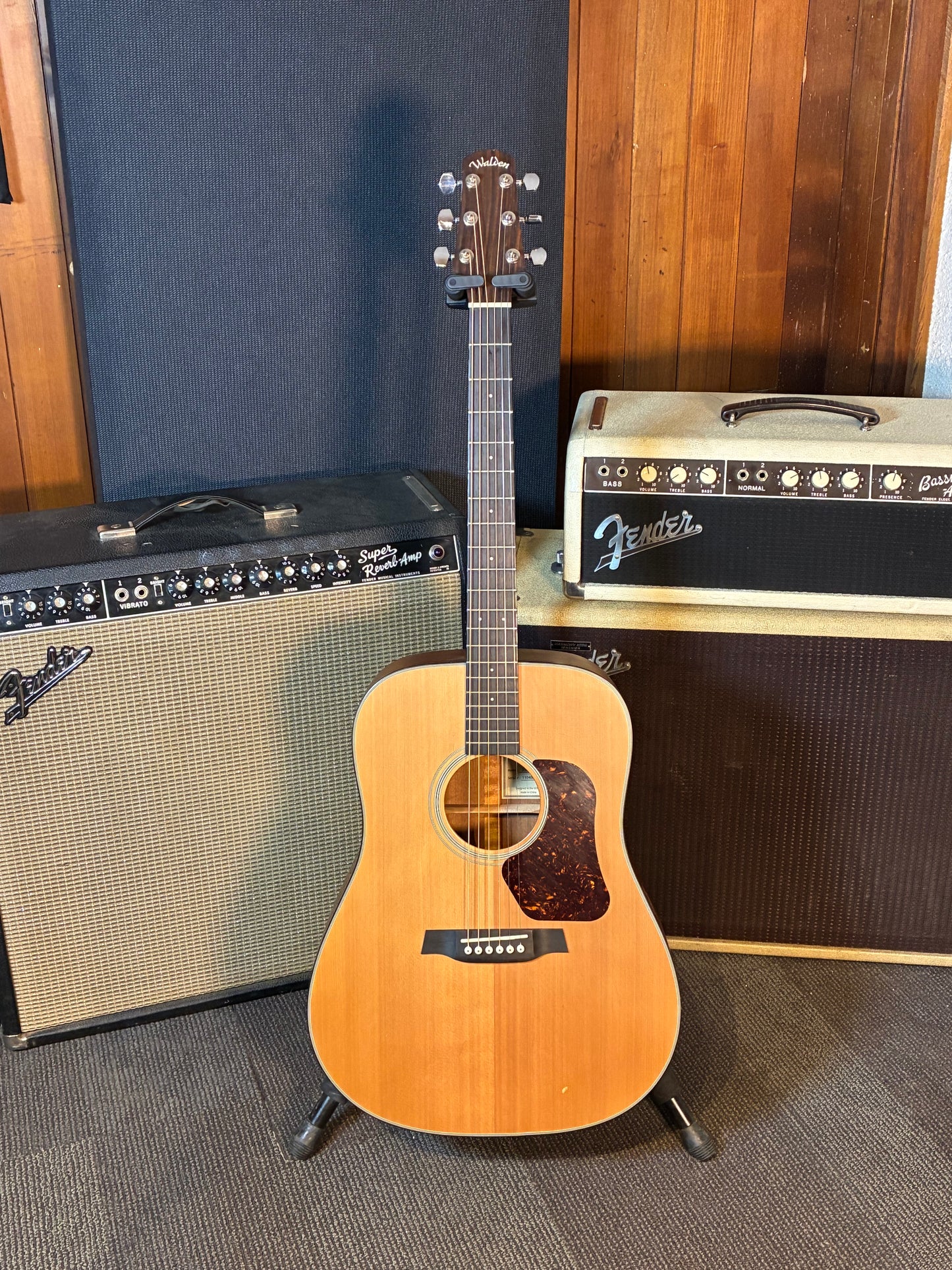 Walden Natura D570 Dreadnought Acoustic Guitar (Used)