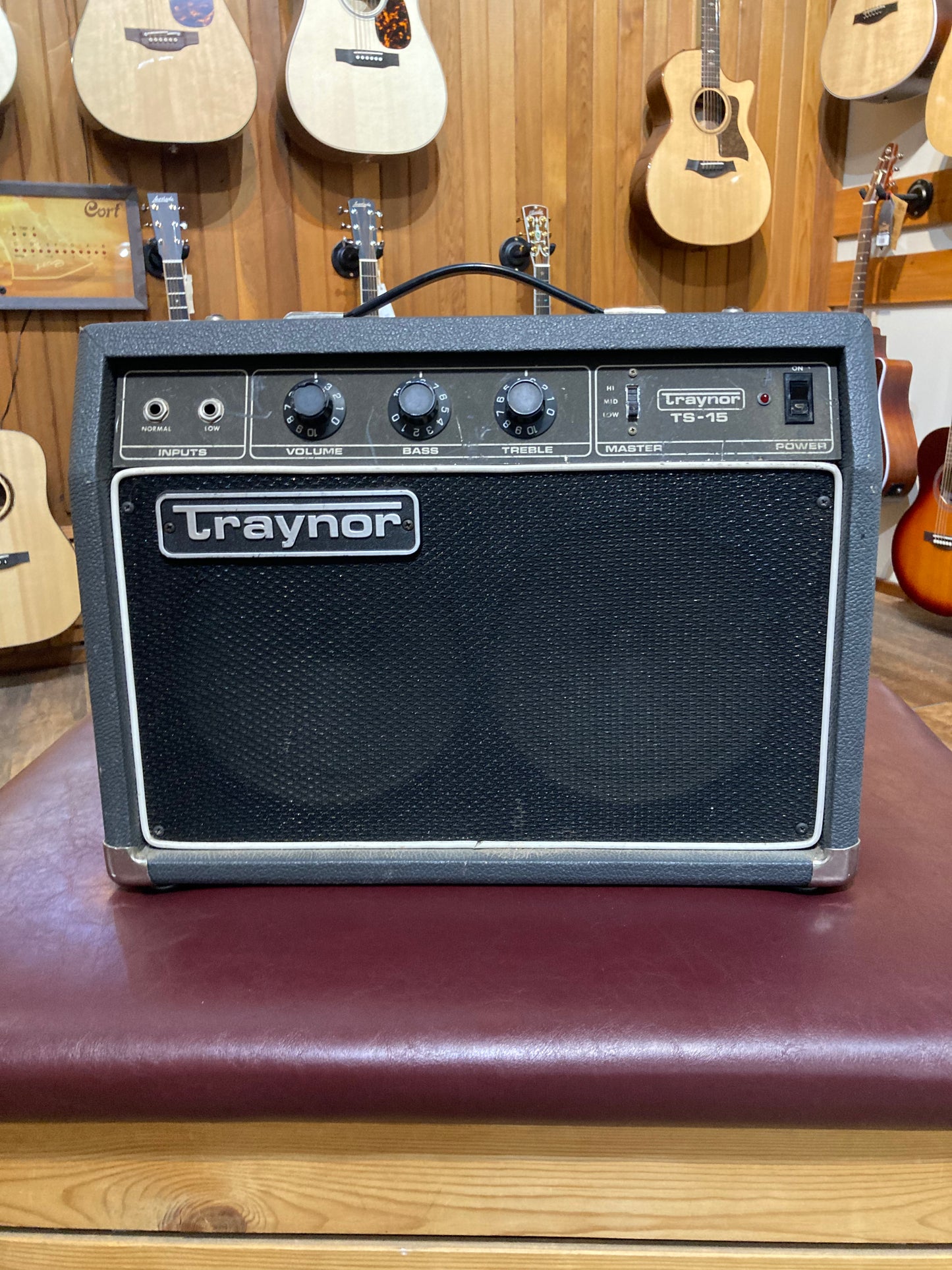 Traynor TS-15 Solid State Combo Amplifier (1980)