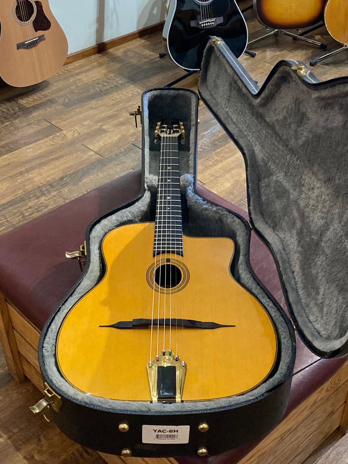 Gitane DG-255 Professional Gypsy Jazz Guitar w/Case (Used)
