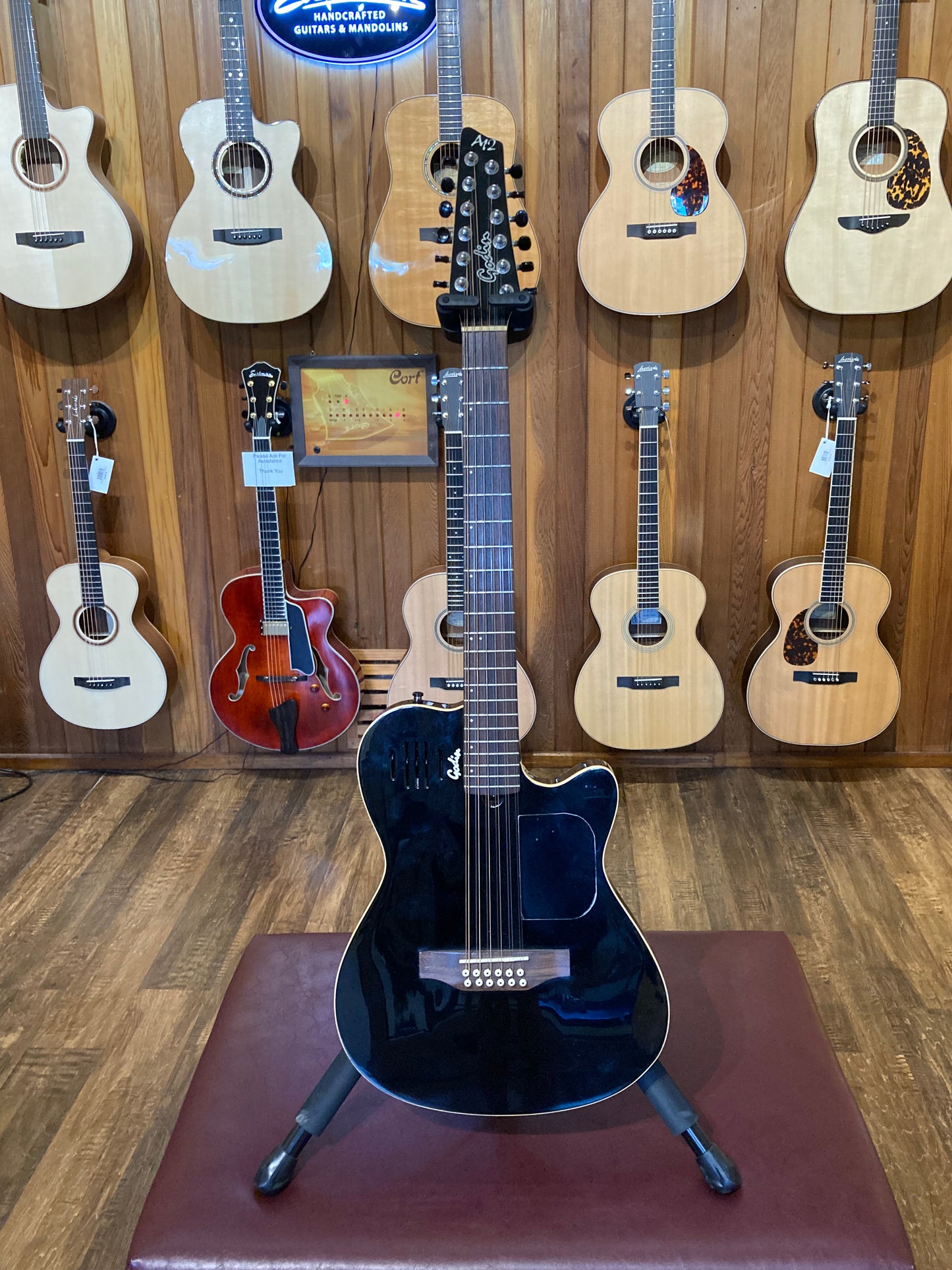 Godin A12 Electric 12-String w/Case - Black (Used)