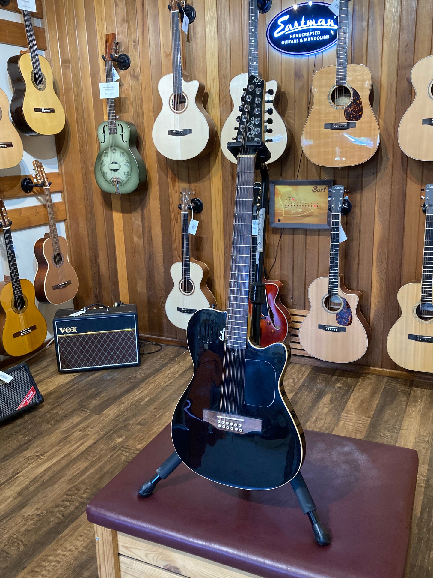Godin A12 Electric 12-String w/Case - Black (Used)