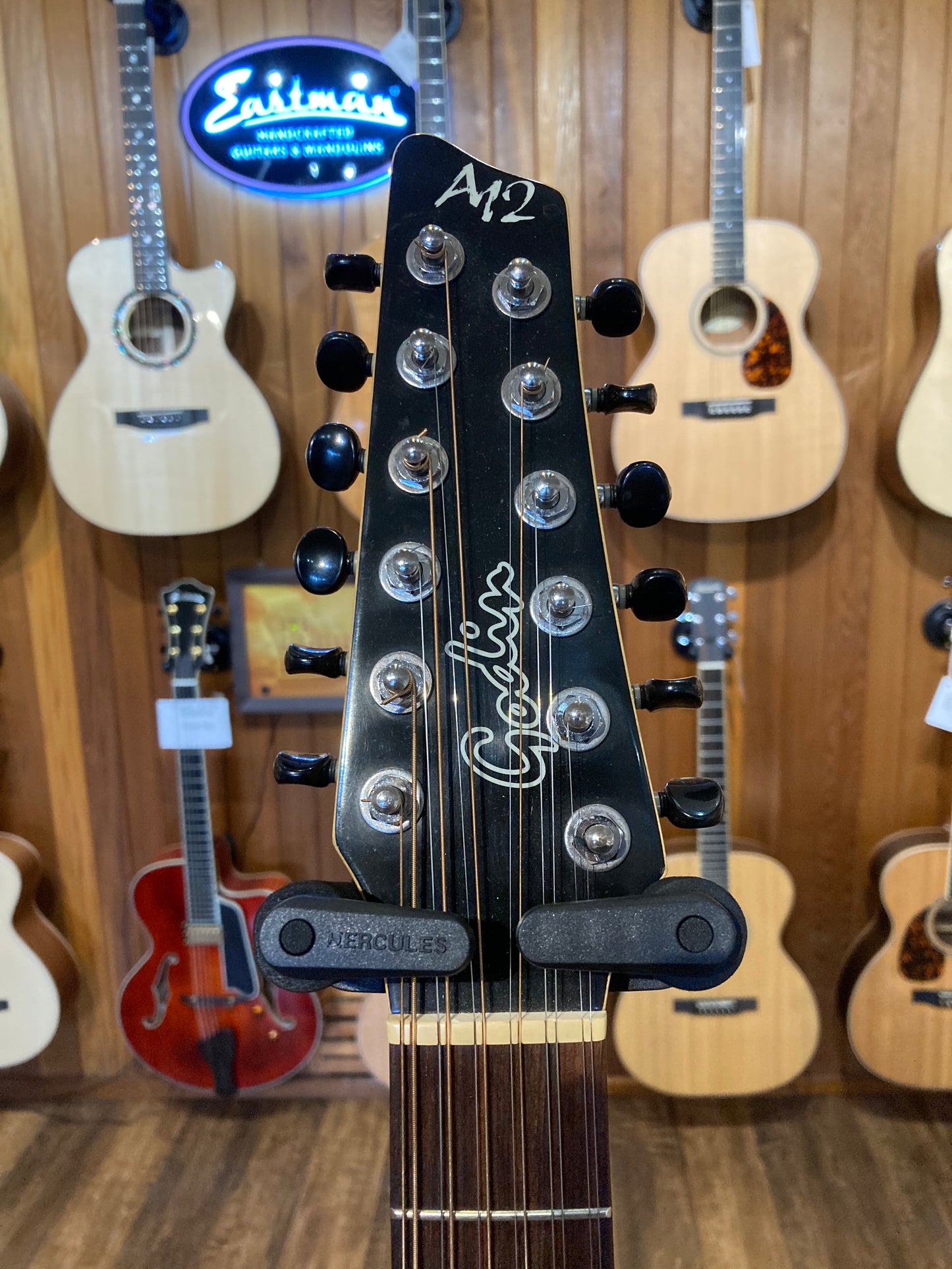 Godin A12 Electric 12-String w/Case - Black (Used)