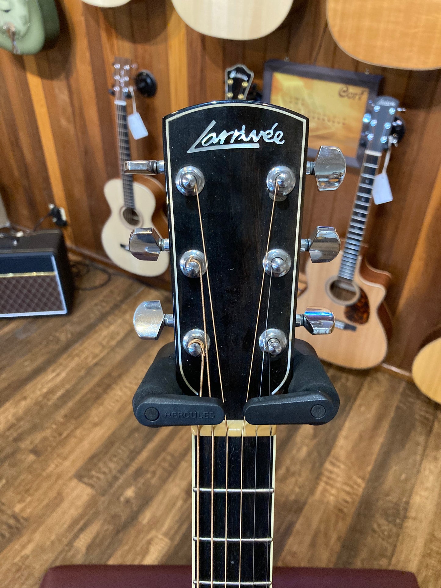 Larrivée D-09BW Blackwood Acoustic/Electric Guitar w/Case (2001)