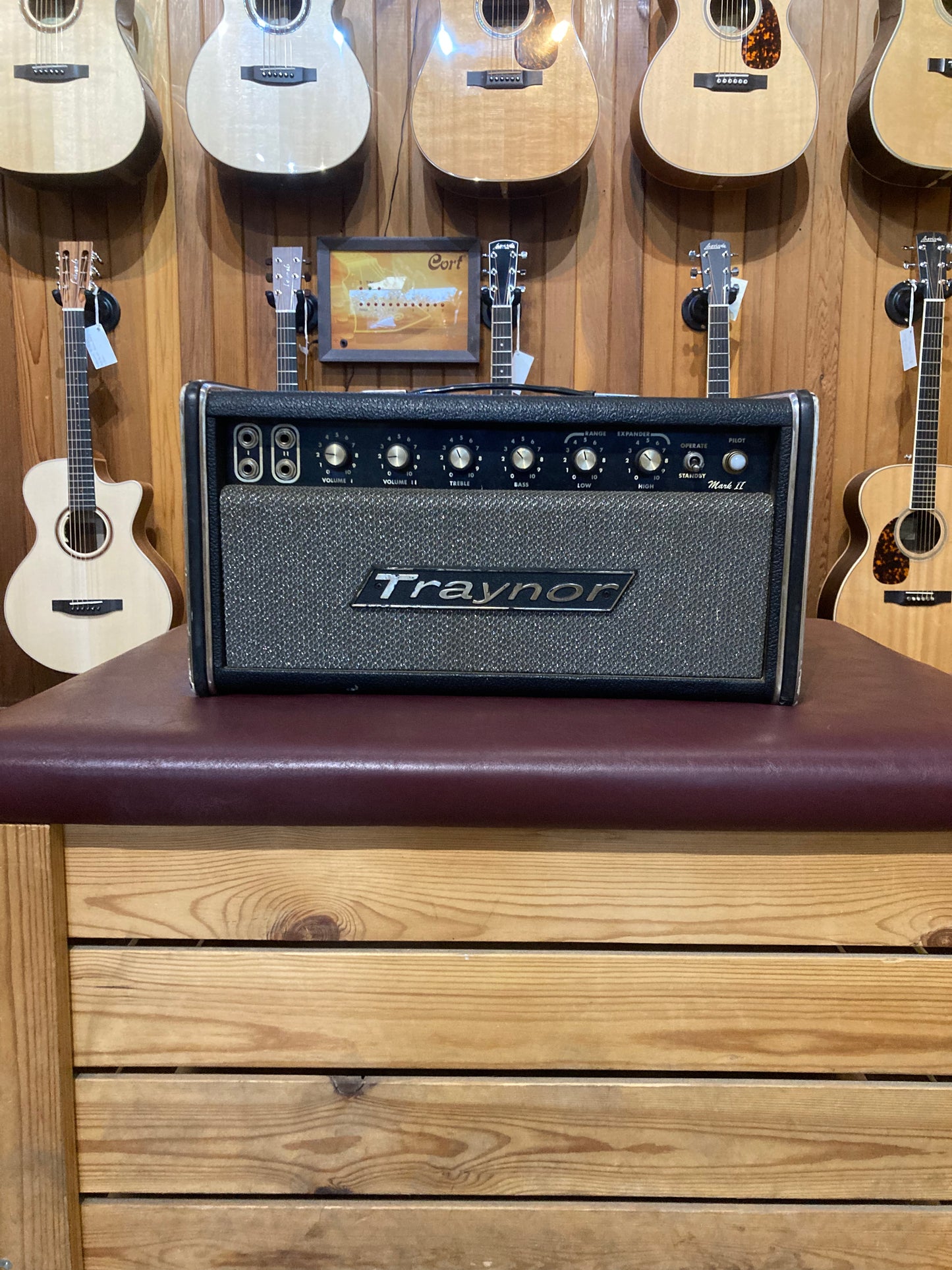 Traynor YBA-1A Bass Master Mark II 90-Watt Bass Amp Head (1973)