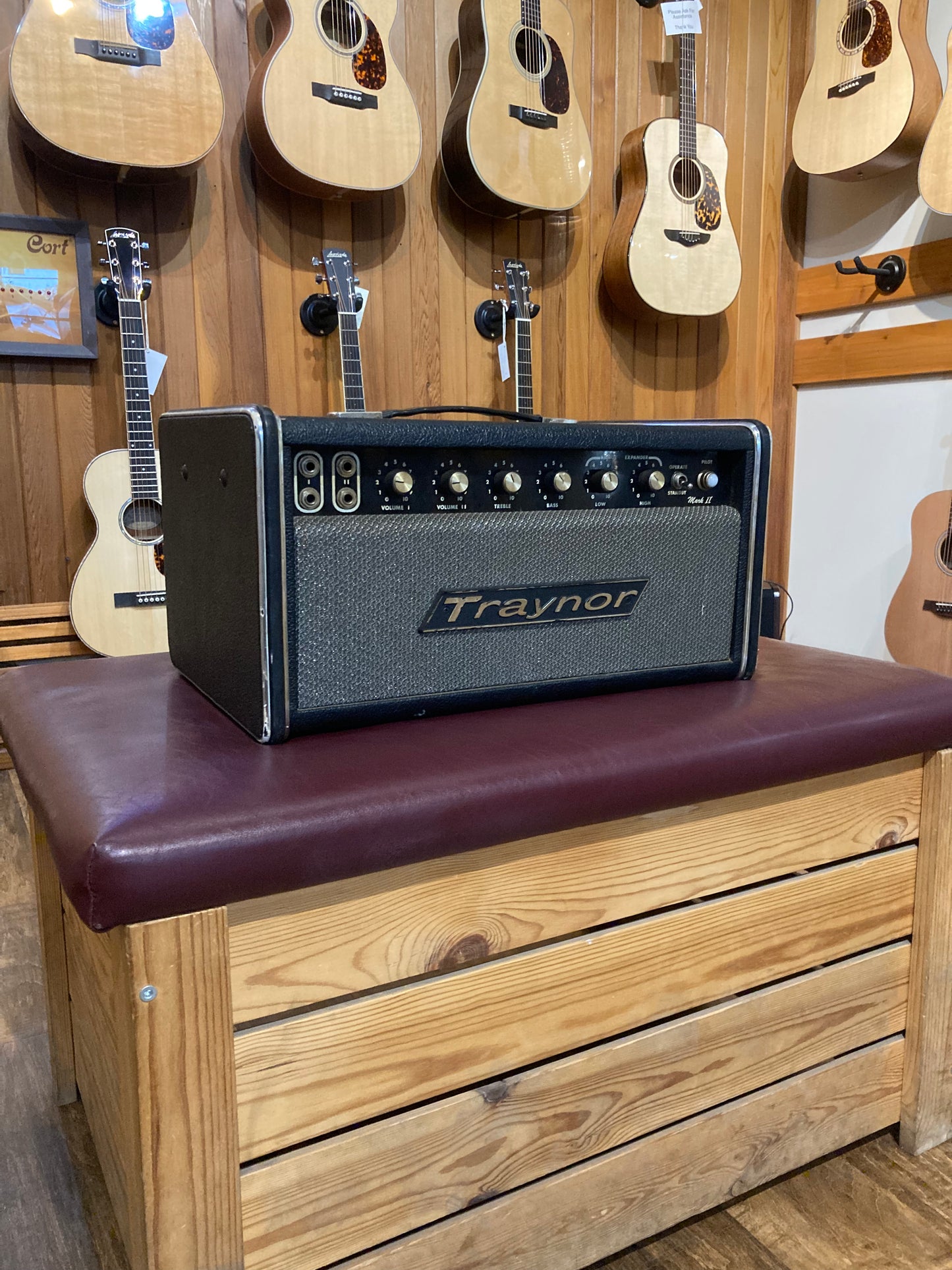 Traynor YBA-1A Bass Master Mark II 90-Watt Bass Amp Head (1973)