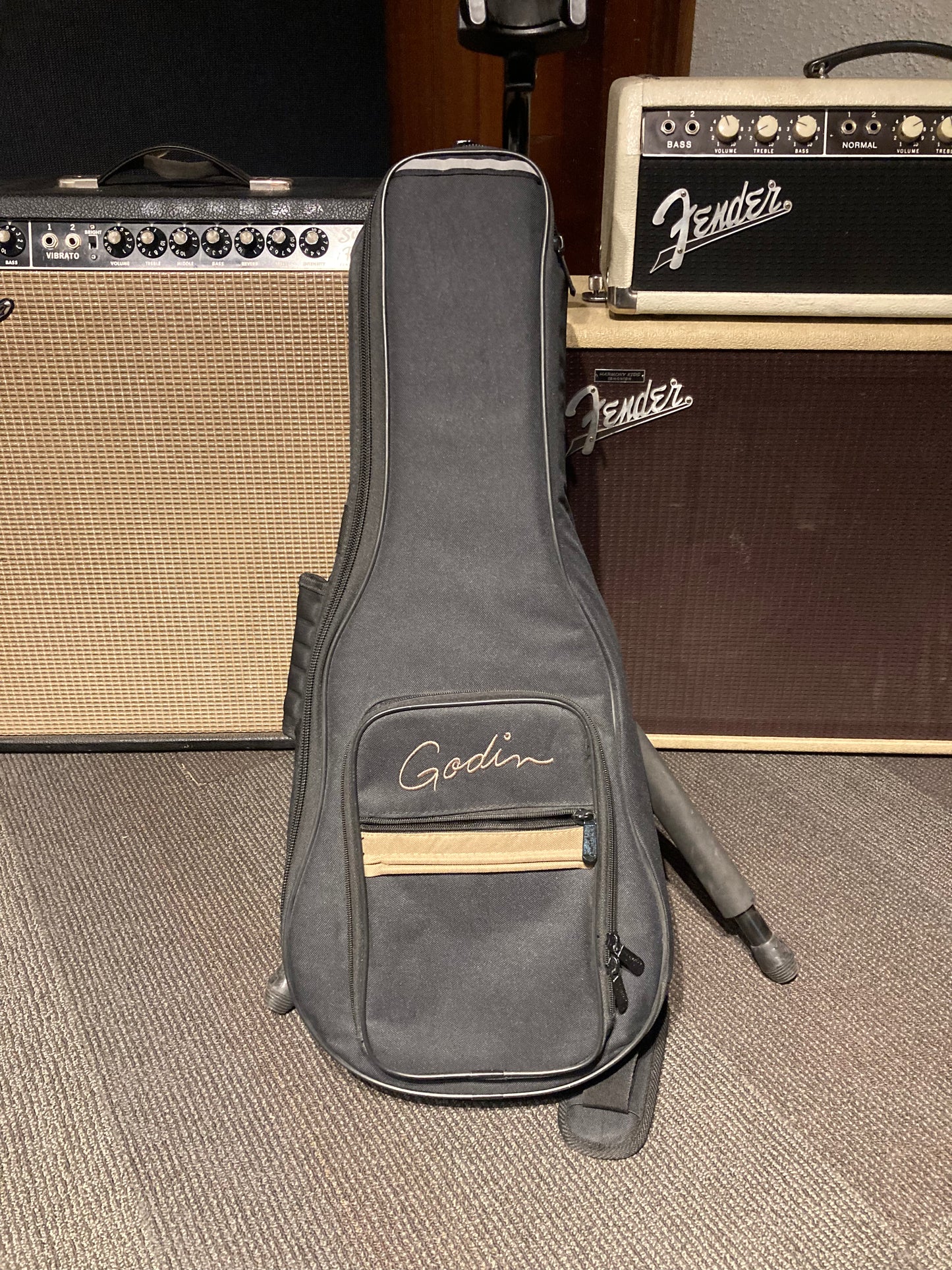 Godin A8 Electro-Acoustic Mandolin w/Gig Bag (Used)