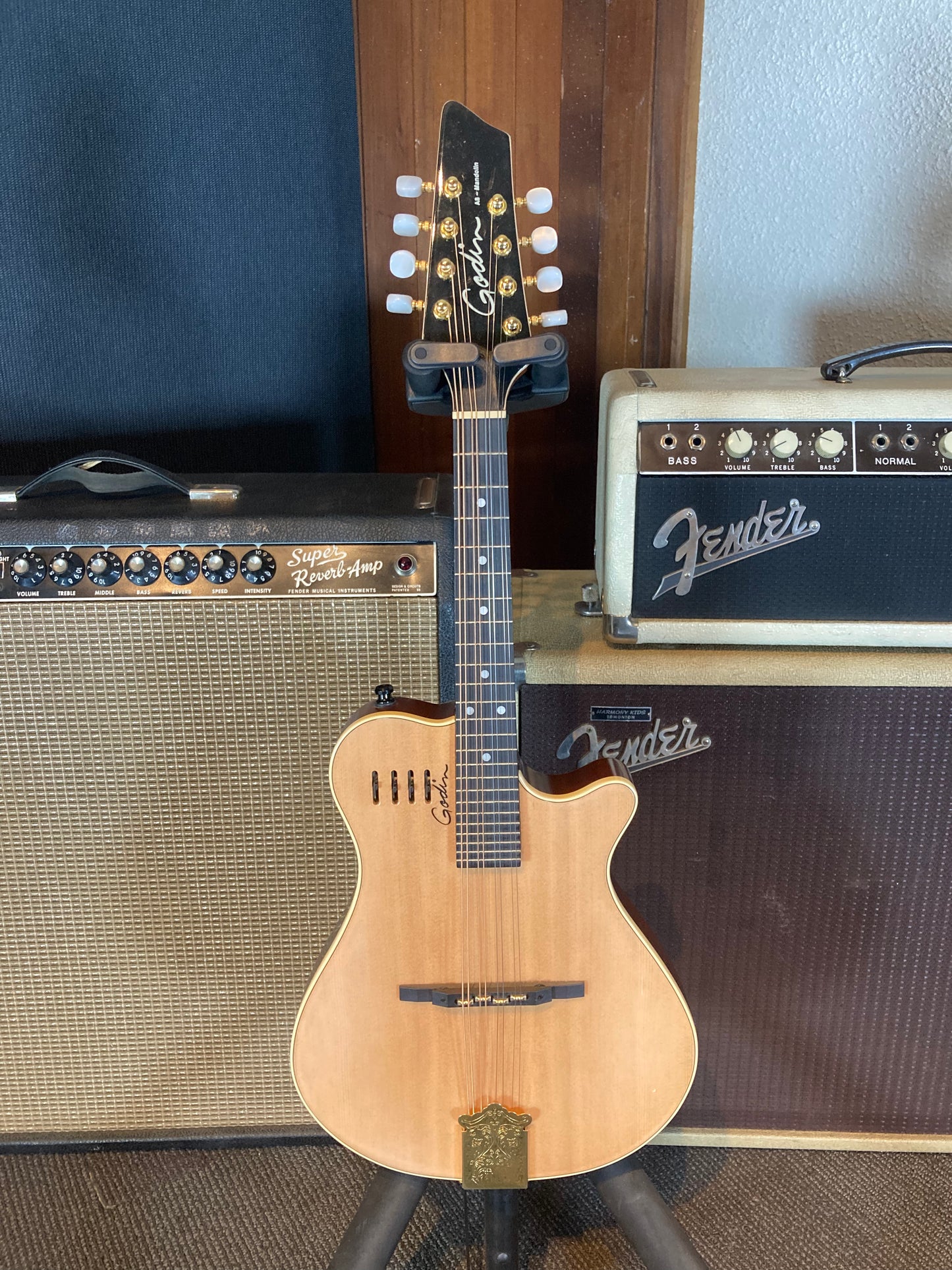 Godin A8 Electro-Acoustic Mandolin w/Gig Bag (Used)