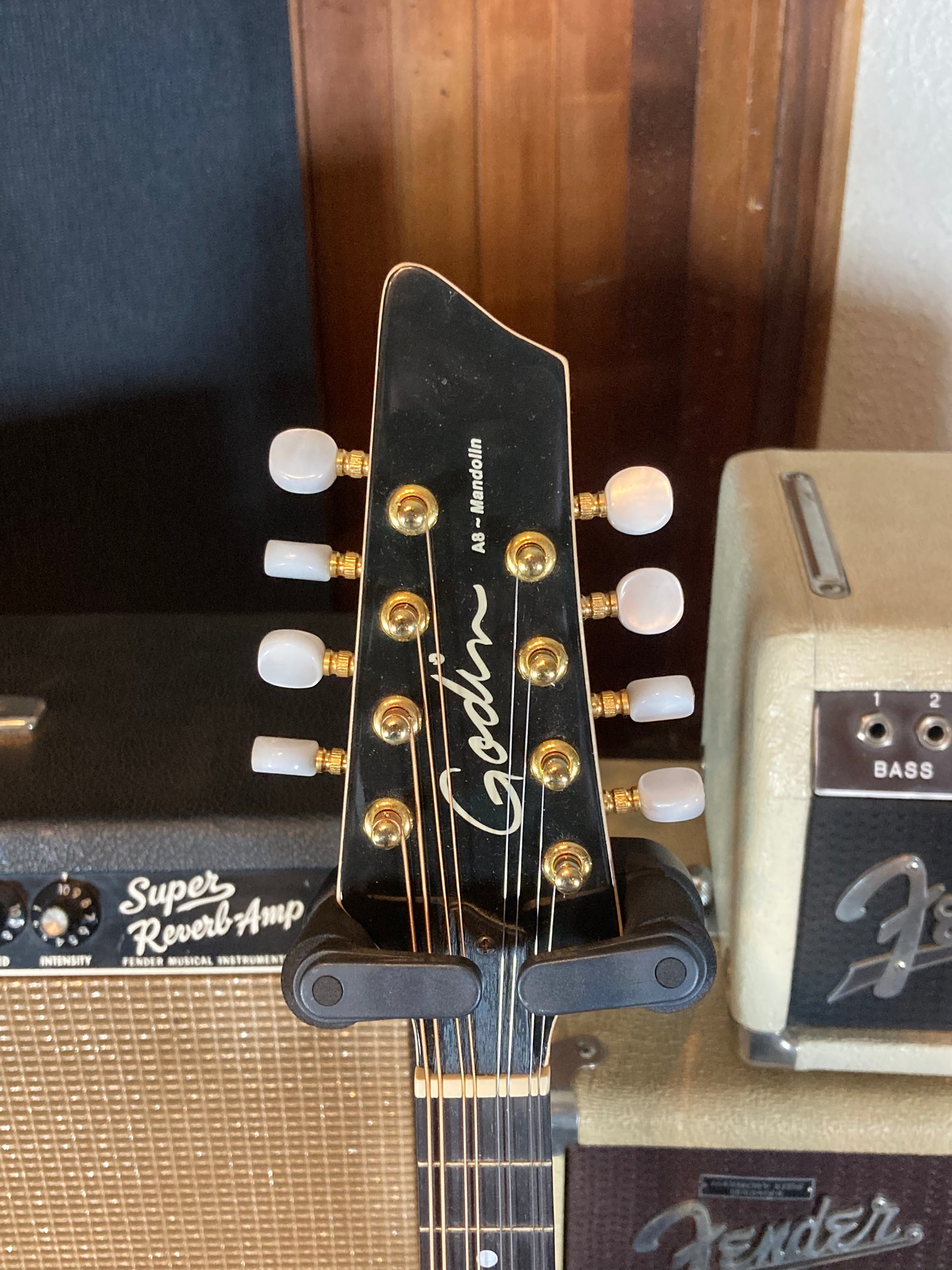 Godin A8 Electro-Acoustic Mandolin w/Gig Bag (Used)
