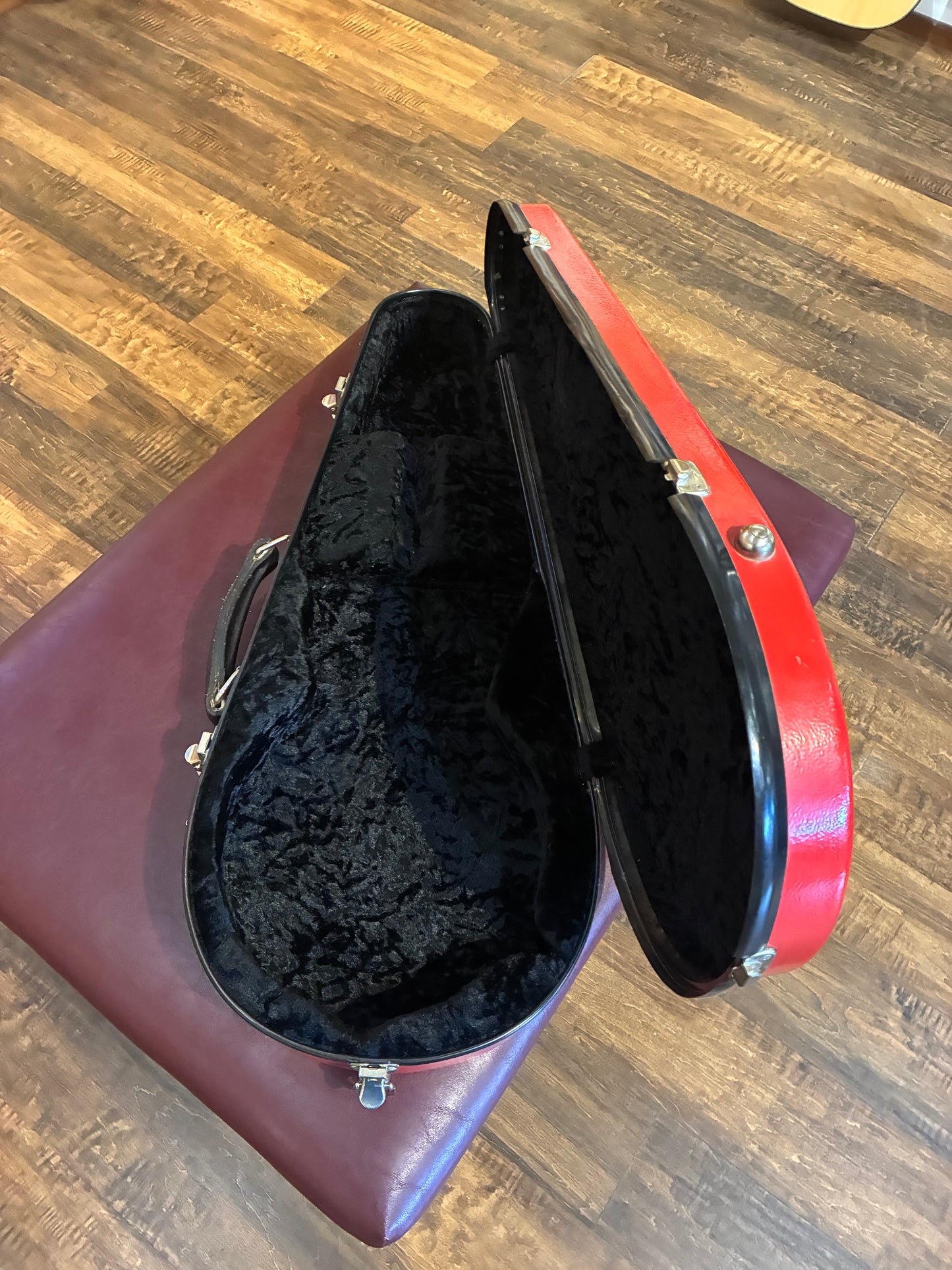 Calton Mandolin Case (Used)