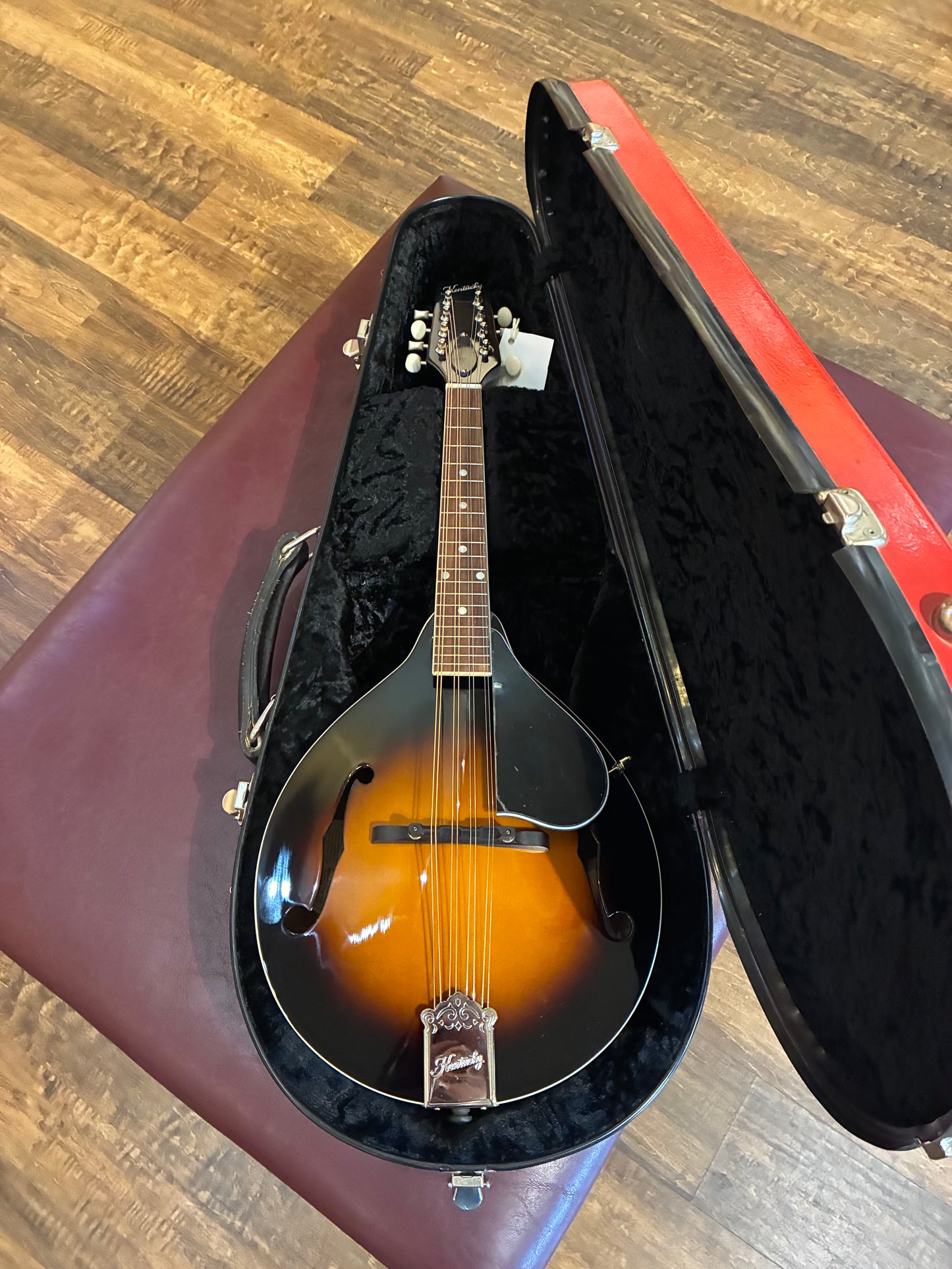 Calton Mandolin Case (Used)