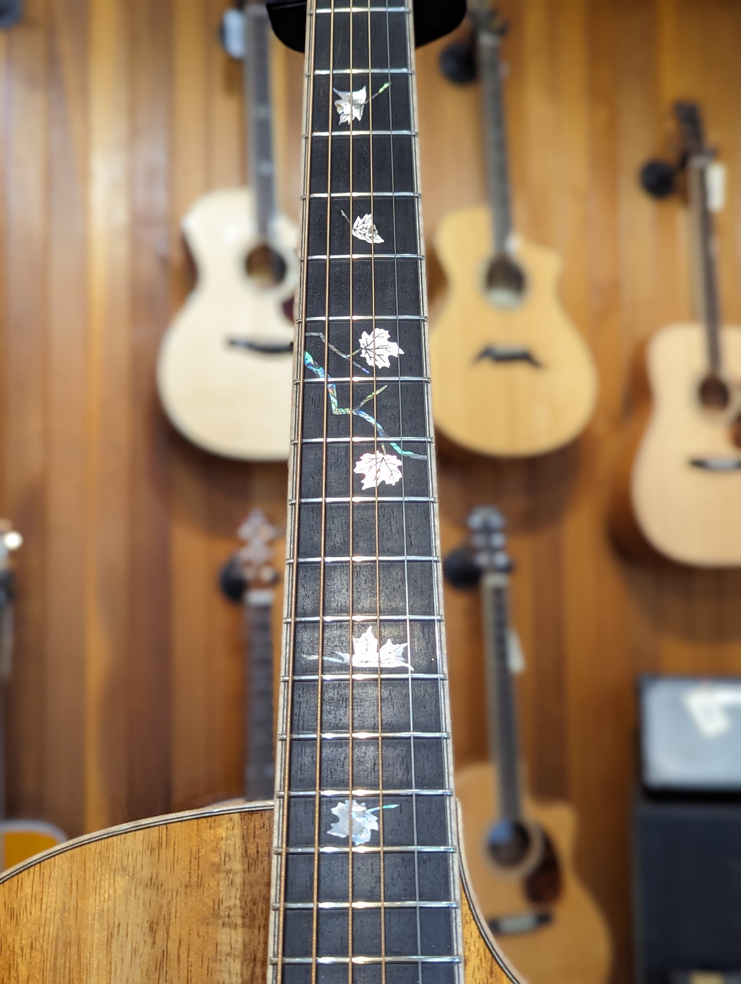 Eastman Limited Edition AC622 Solid Koa Grand Auditorium Acoustic Guitar w/Case
