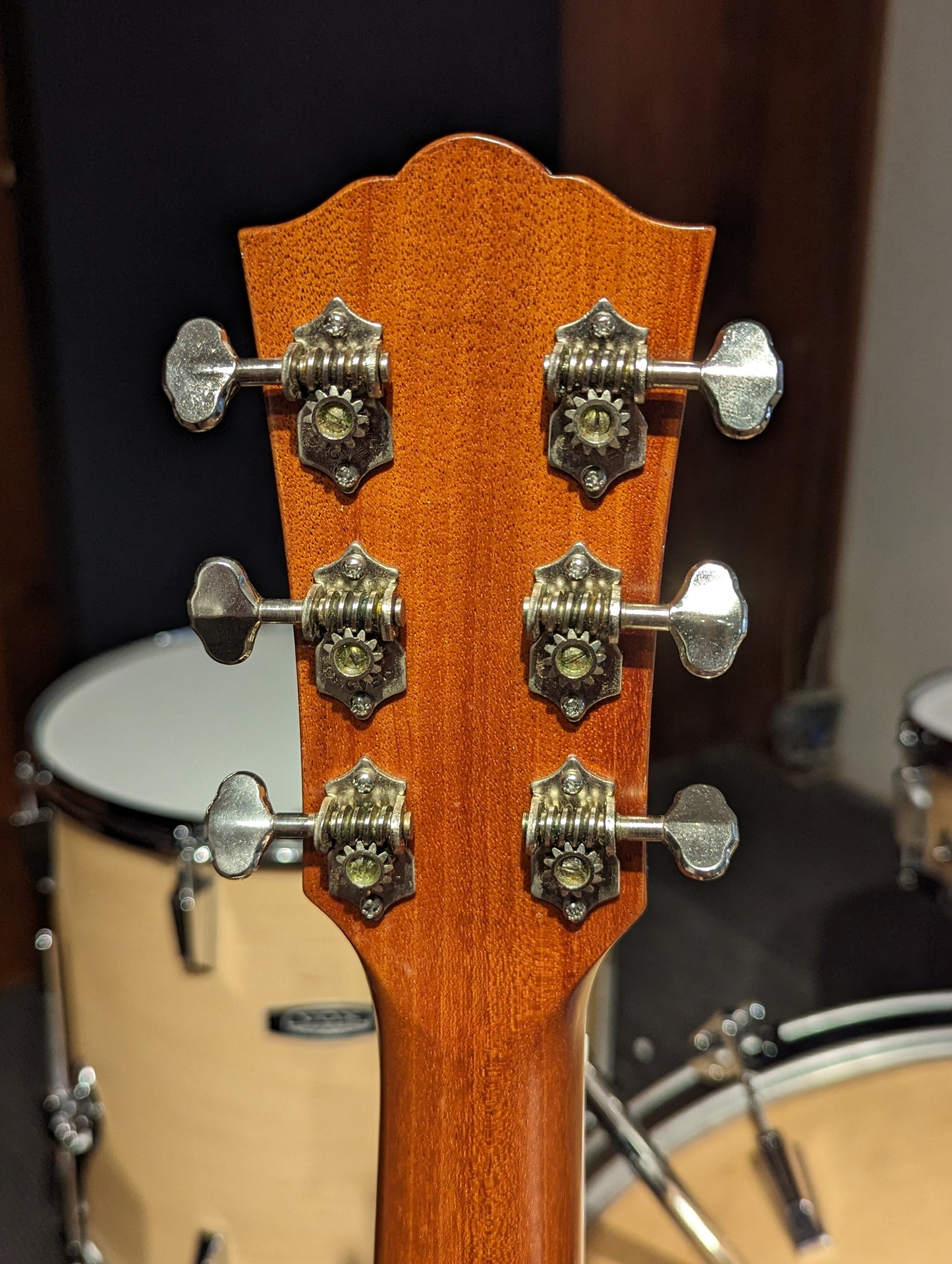 Nicoll Guitars Dreadnought Acoustic Guitar w/Mono Gig Bag (2022)