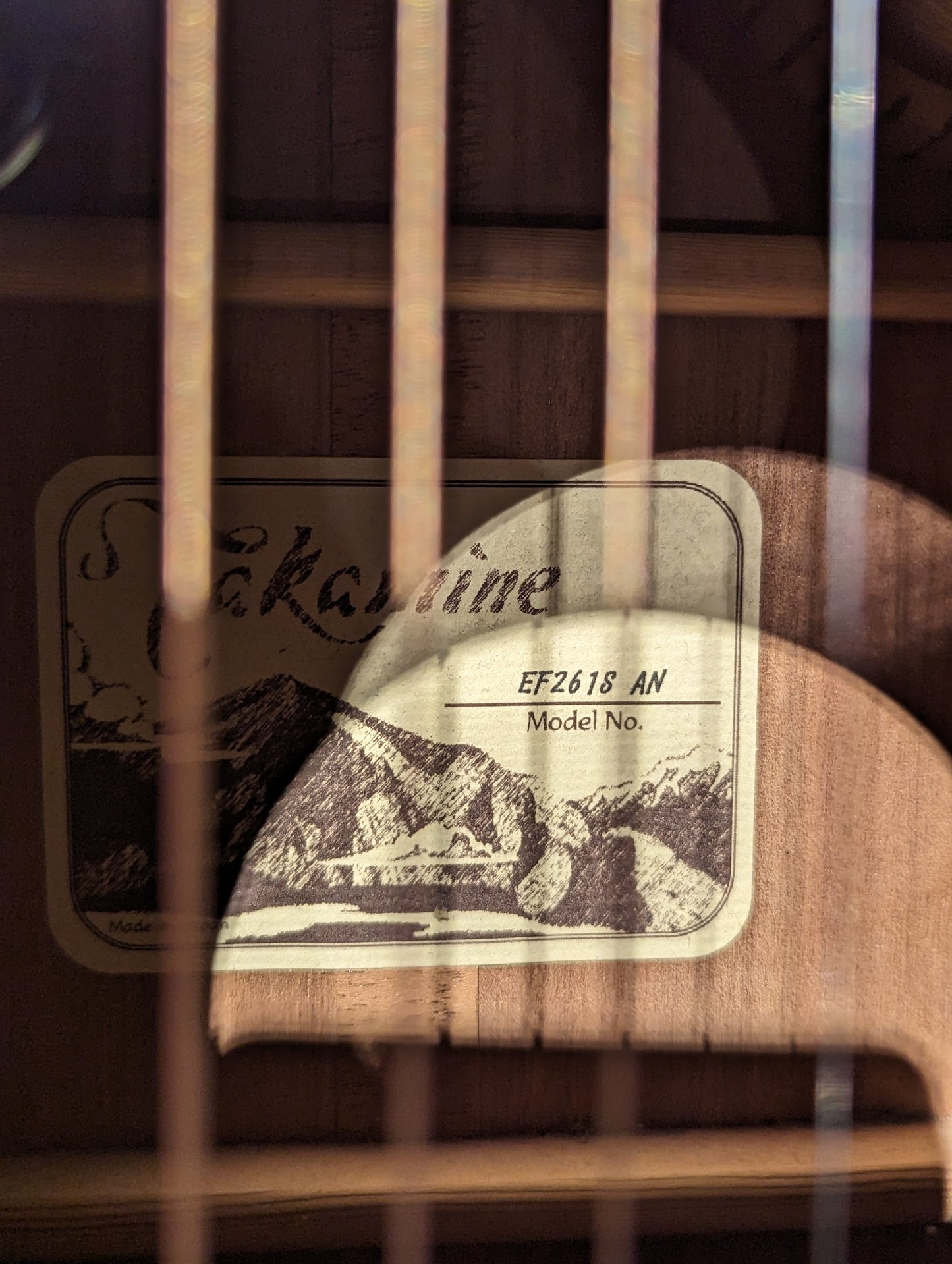 Takamine EF261S Acoustic/Electric Guitar w/Case (2001)