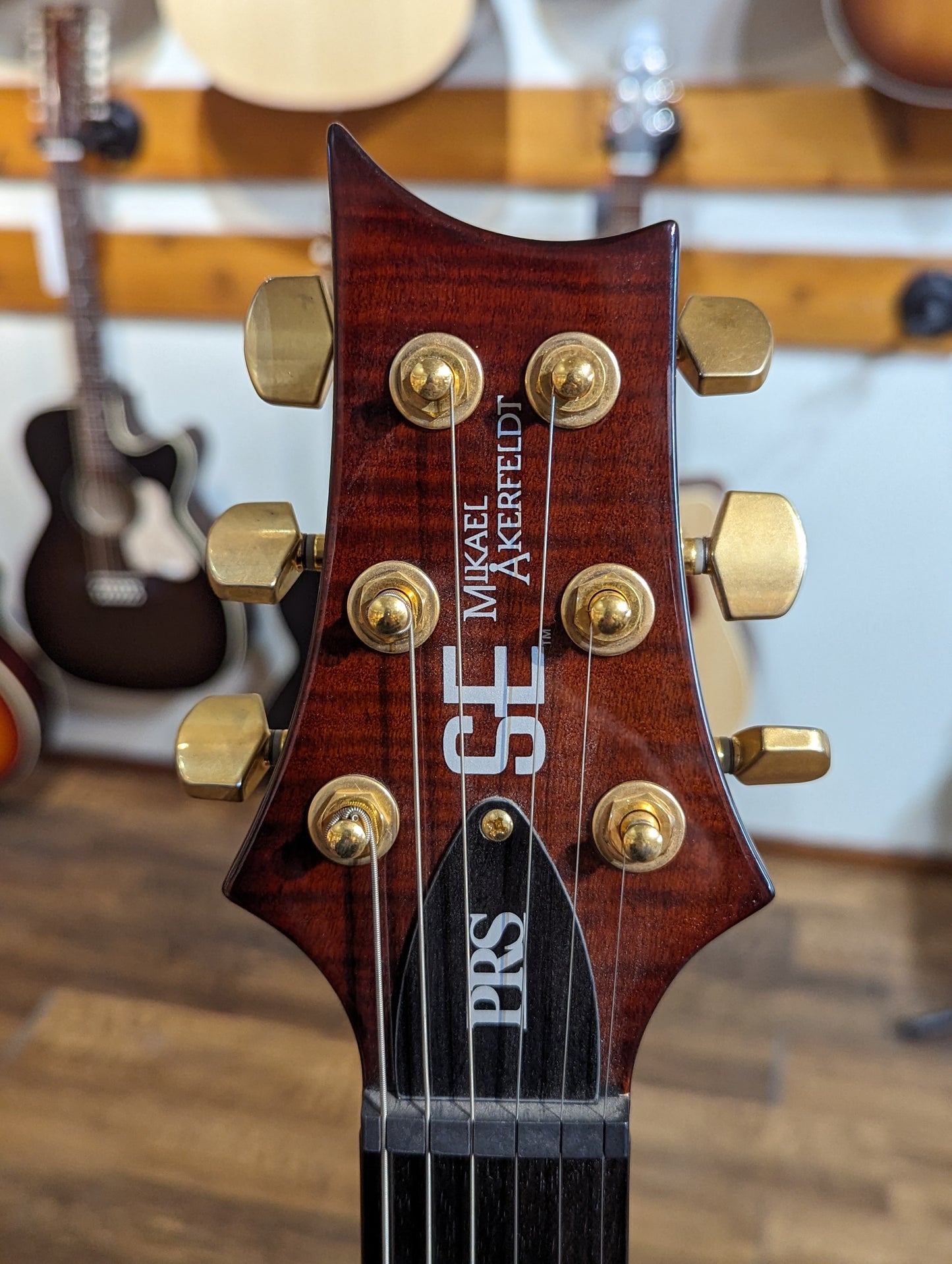PRS Guitars SE Mikeal Akerfeldt Signature Electric Guitar - Tortoise Shell (Used)
