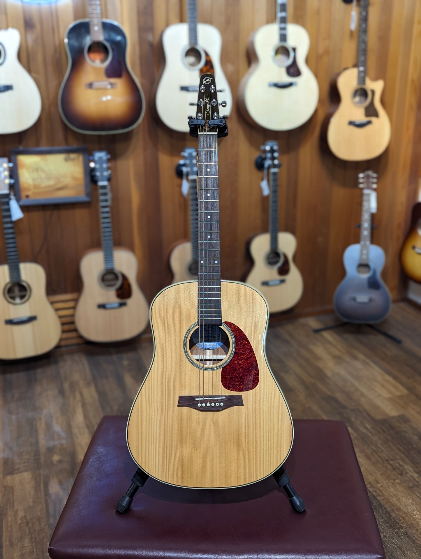 Seagull Maritime SWS HG Acoustic Guitar w/Case (Used)