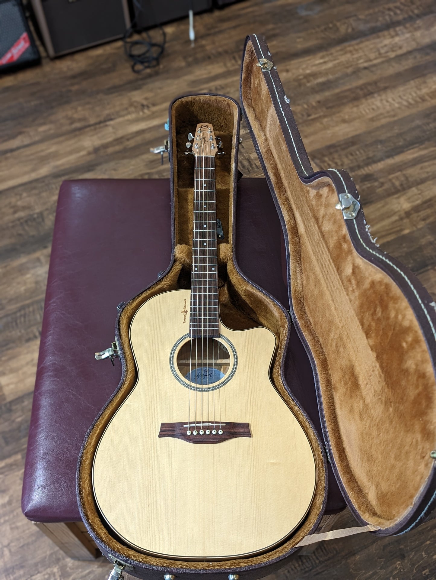 Seagull Amber Trail CW Folk SG EQ Acoustic/Electric Guitar w/Case (Used)