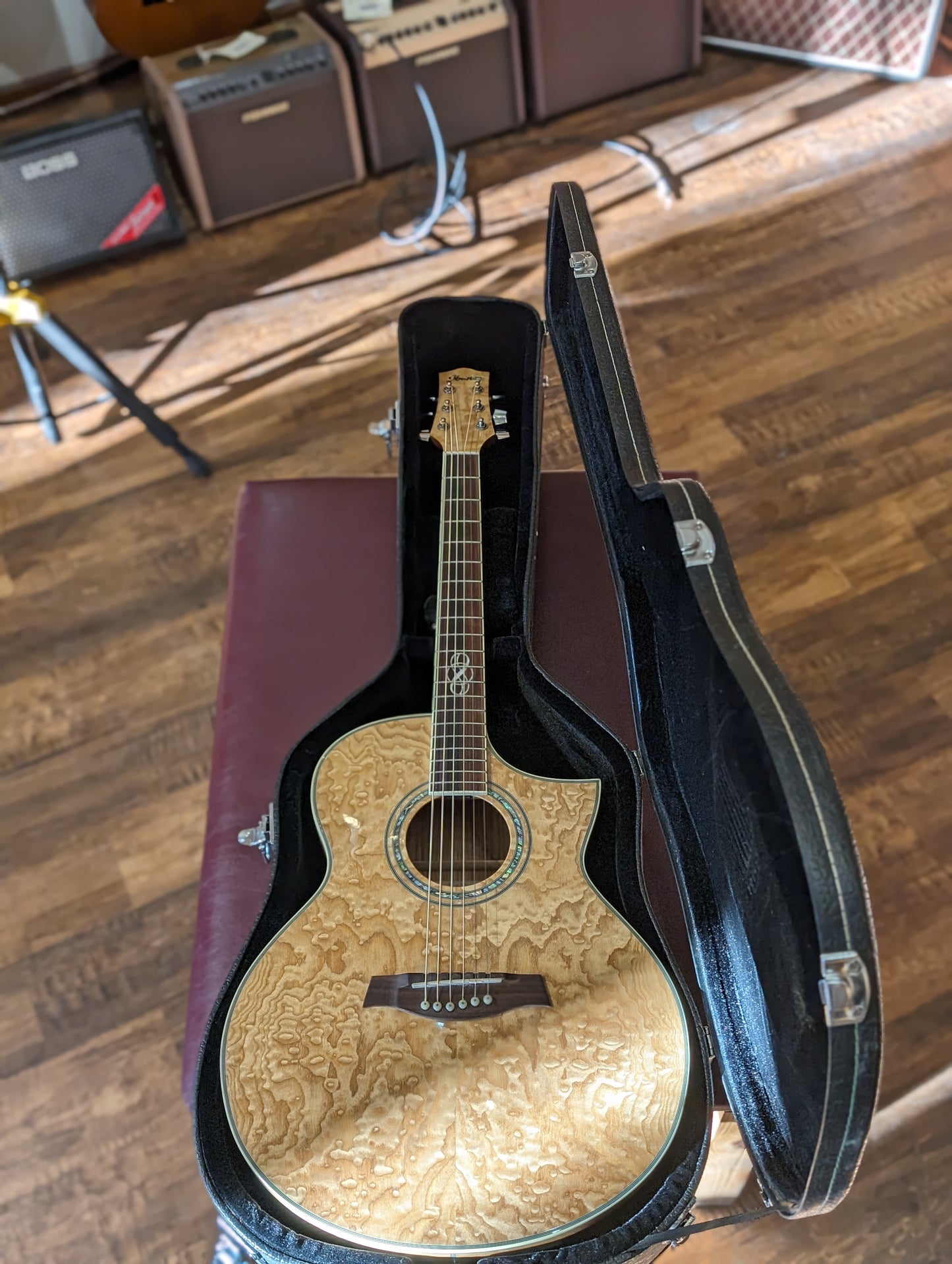 Ibanez EW20ASE Acoustic/Electric Guitar w/Case (2007)