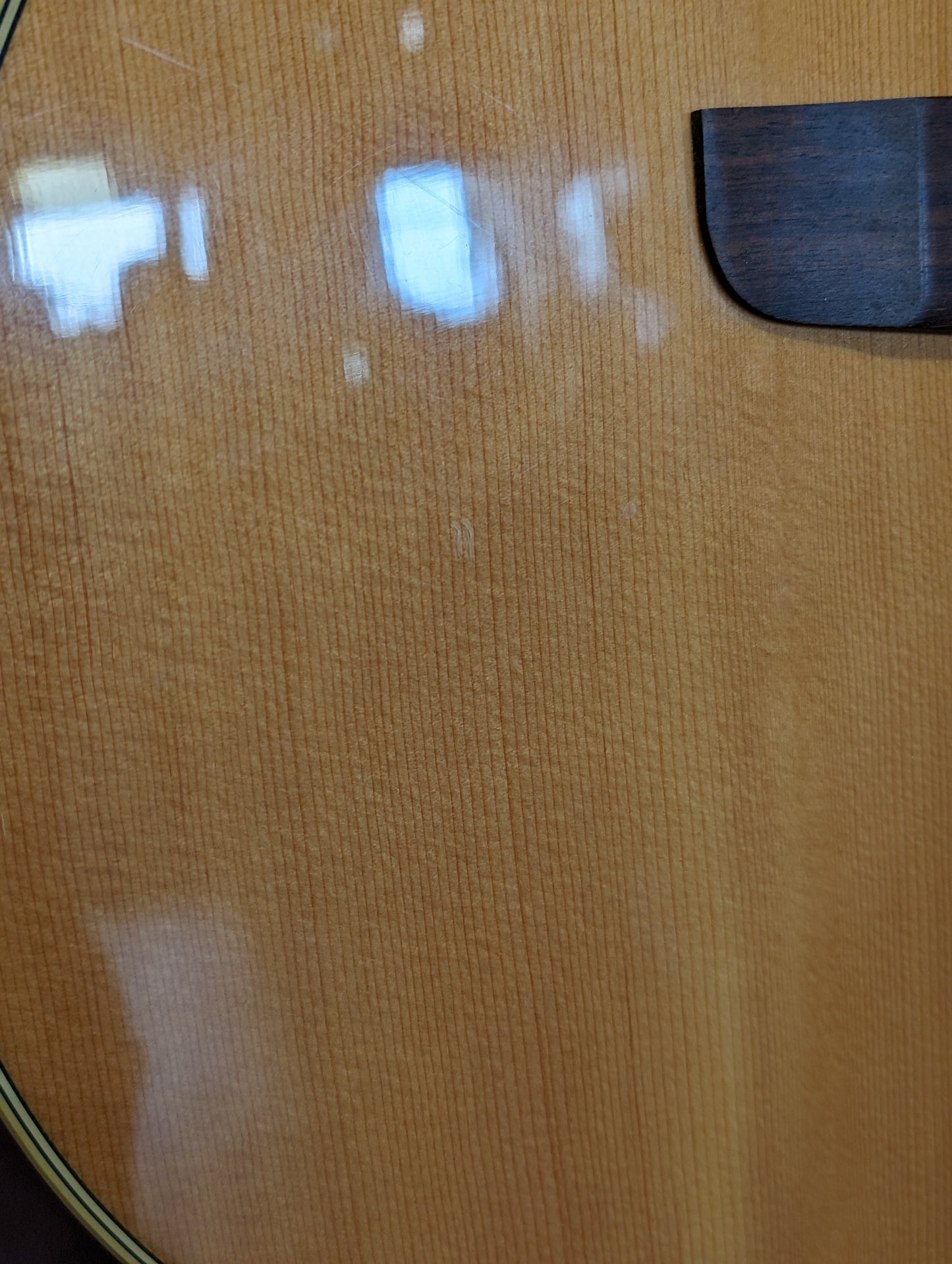 Fender Montara Acoustic/Electric Guitar (1988-1996)