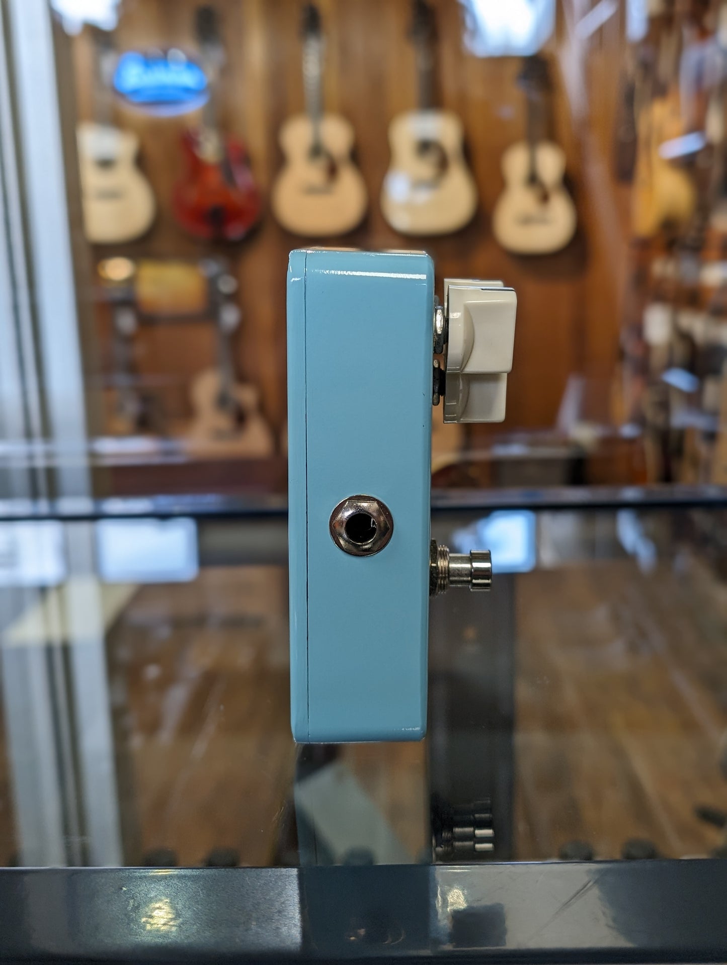 Animals Pedal Relaxing Walrus Delay (Used)