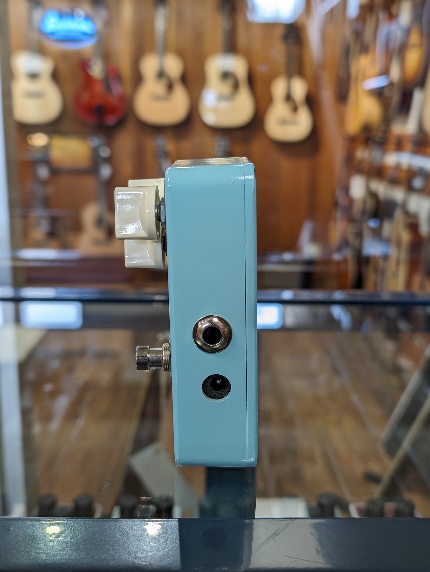 Animals Pedal Relaxing Walrus Delay (Used)
