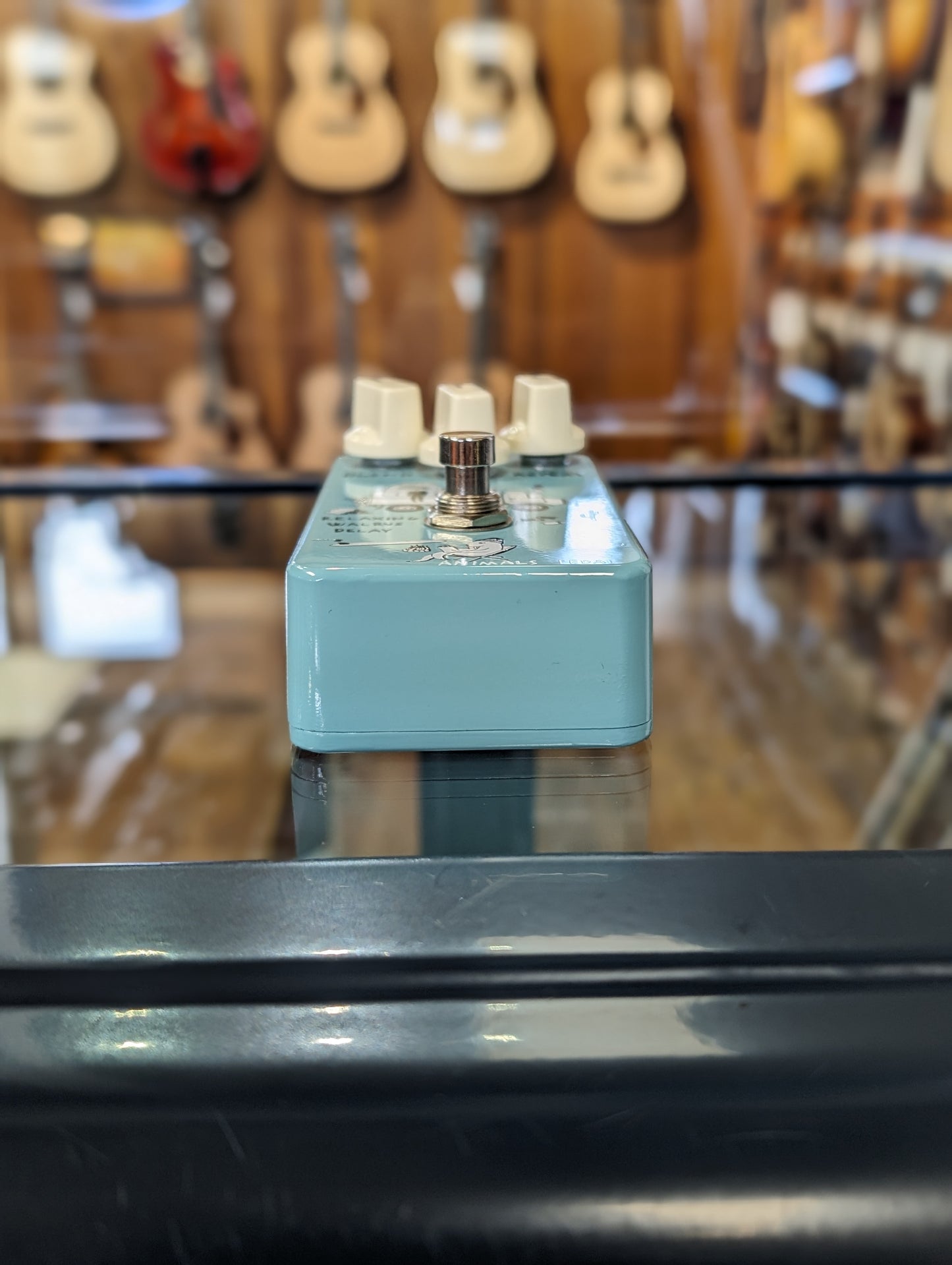 Animals Pedal Relaxing Walrus Delay (Used)