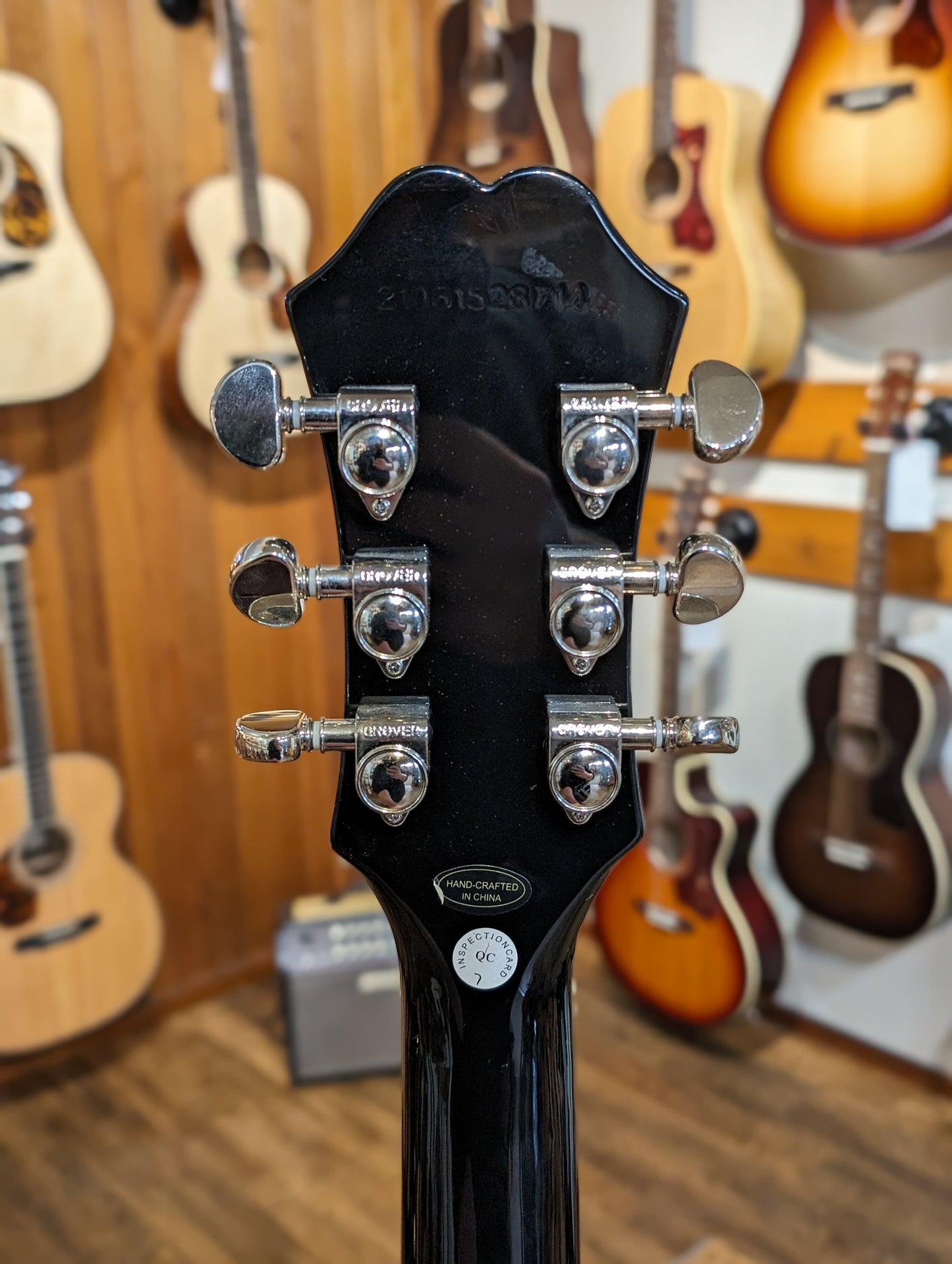 Epiphone DC Pro Electric Guitar - Wild Ivy (2021)