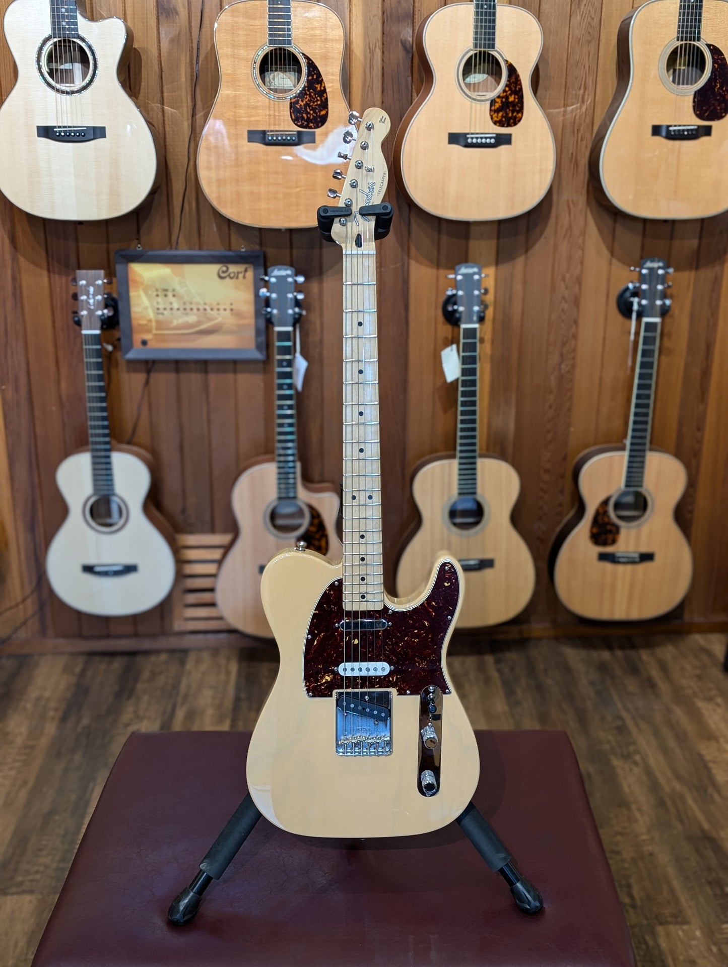 Fender Deluxe Nashville Telecaster w/Gig Bag - Honey Blonde (2010)