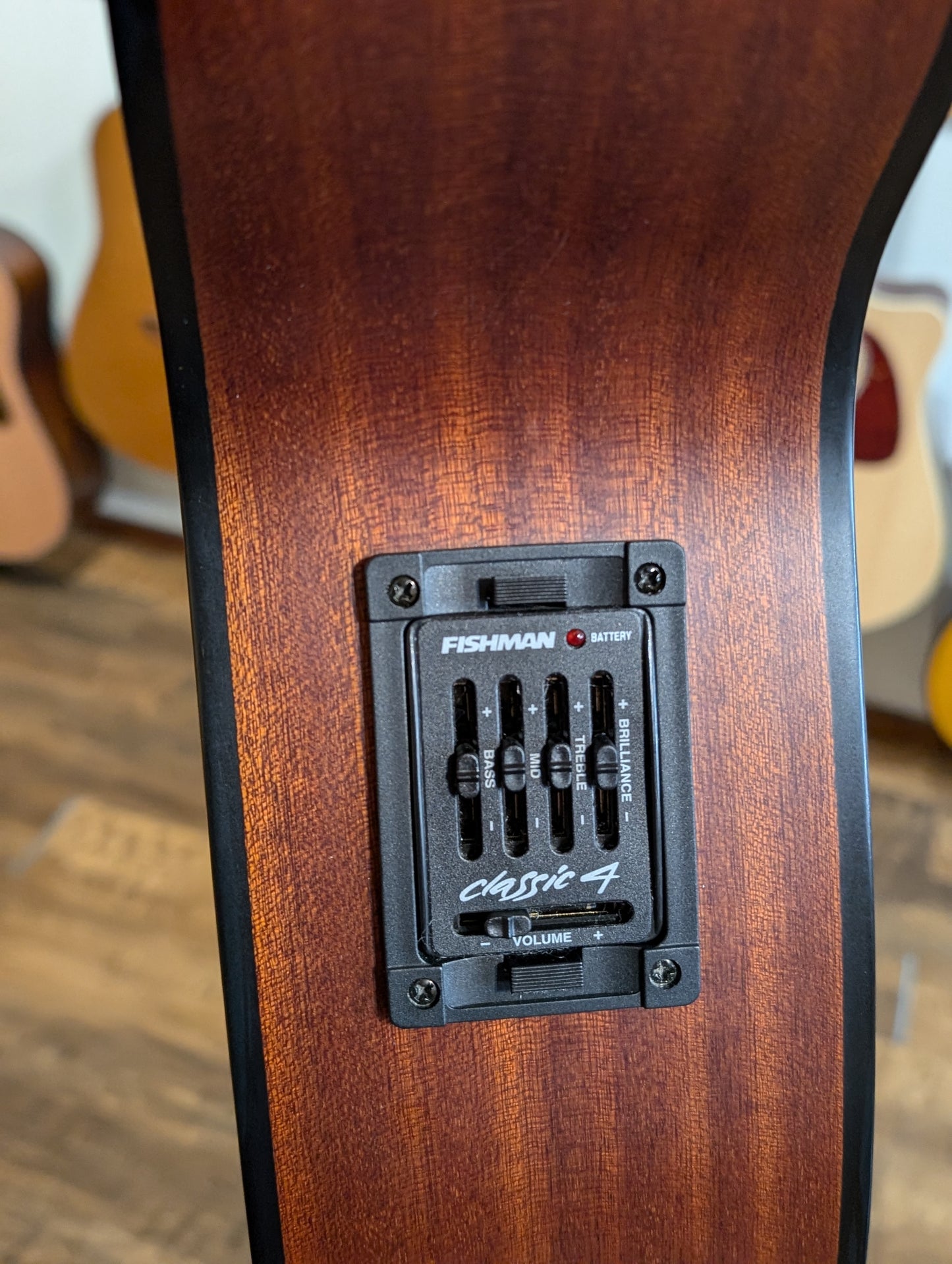 Breedlove ABJ250/SM4 4-String Acoustic/Electric Bass w/Case (2005)