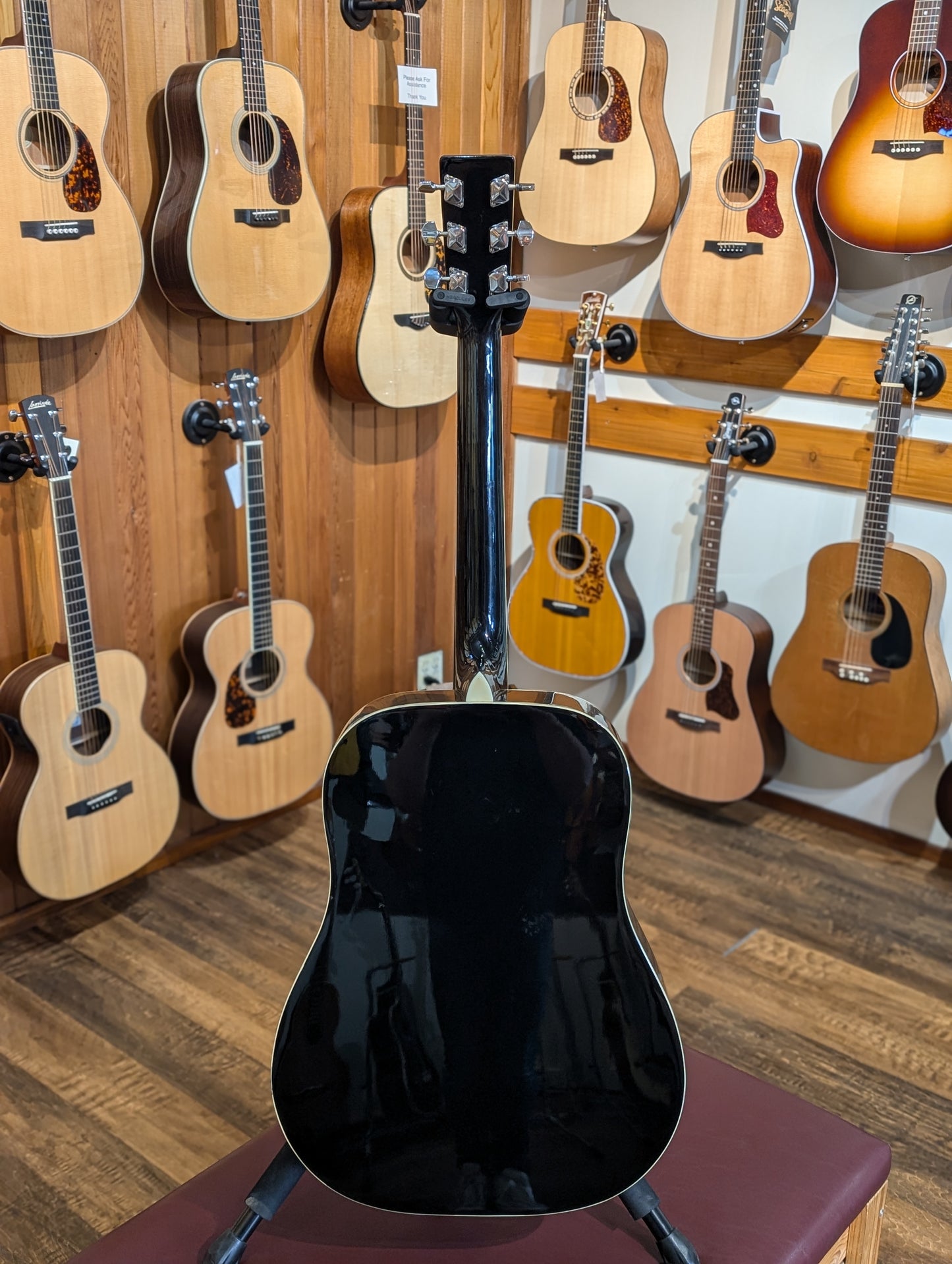 Nova Dreadnought Acoustic Guitar - Black (Used)