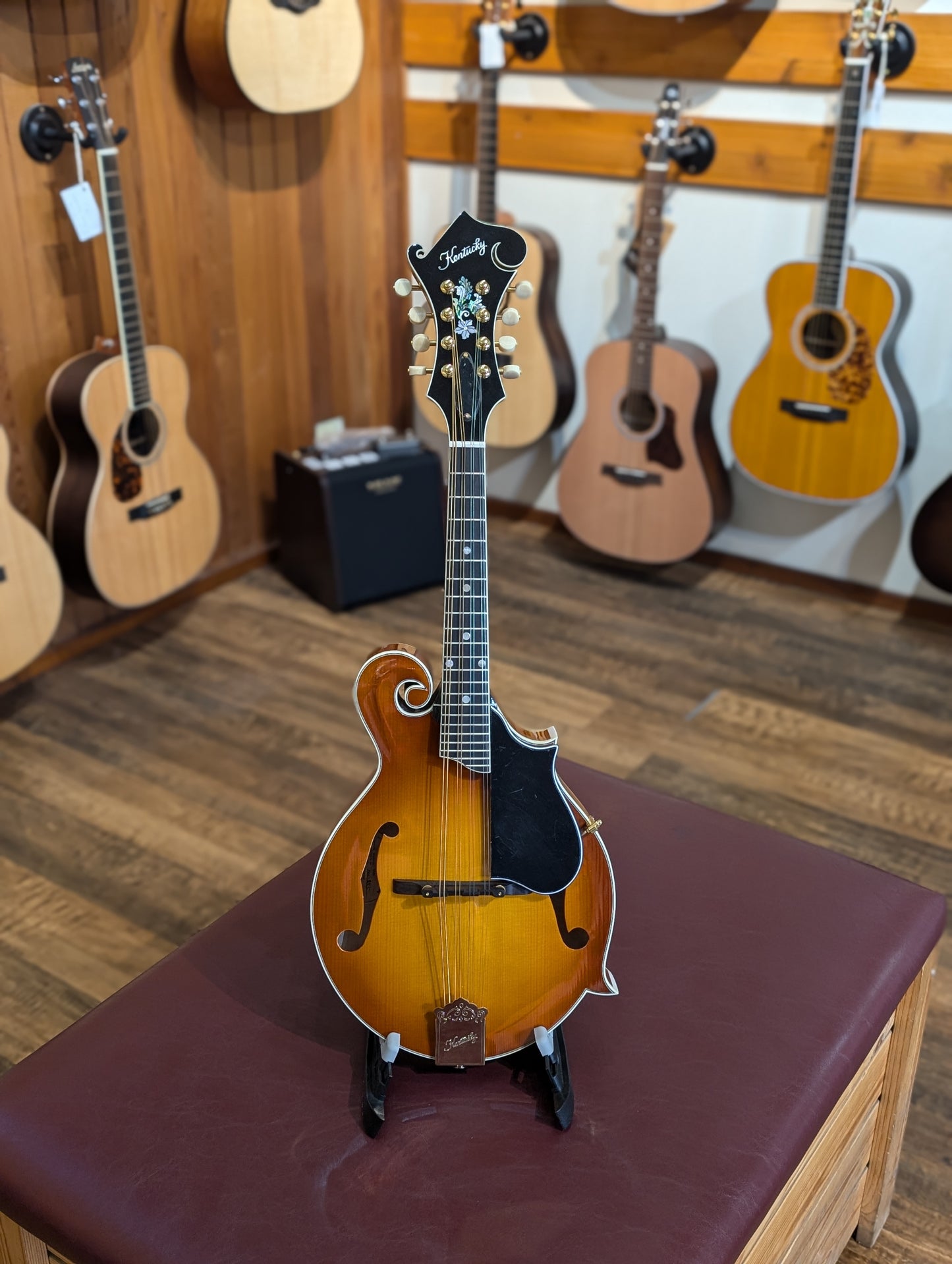 Kentucky KM-855 Artist F-Style Mandolin w/ Padded Gig Bag – Amberburst (Demo Model)