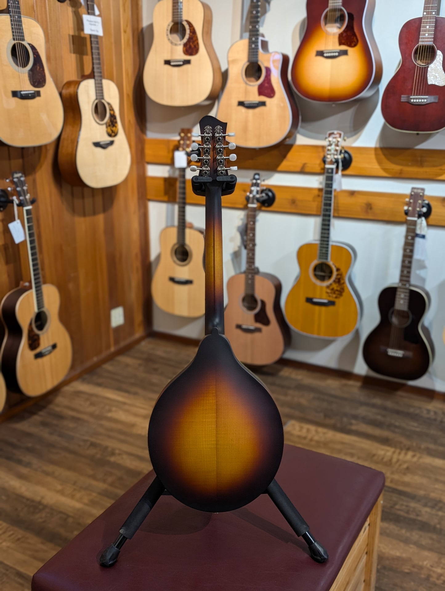 Eastman MDO305E Electric/Acoustic Octave Mandolin w/Gig Bag - Sunburst (Serial #N2401757)