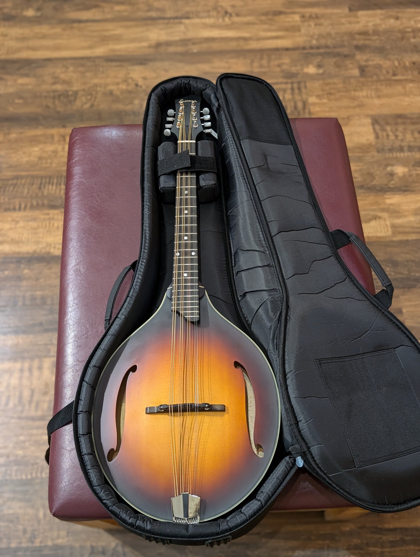 Eastman MDO305E Electric/Acoustic Octave Mandolin w/Gig Bag - Sunburst (Serial #N2401757)