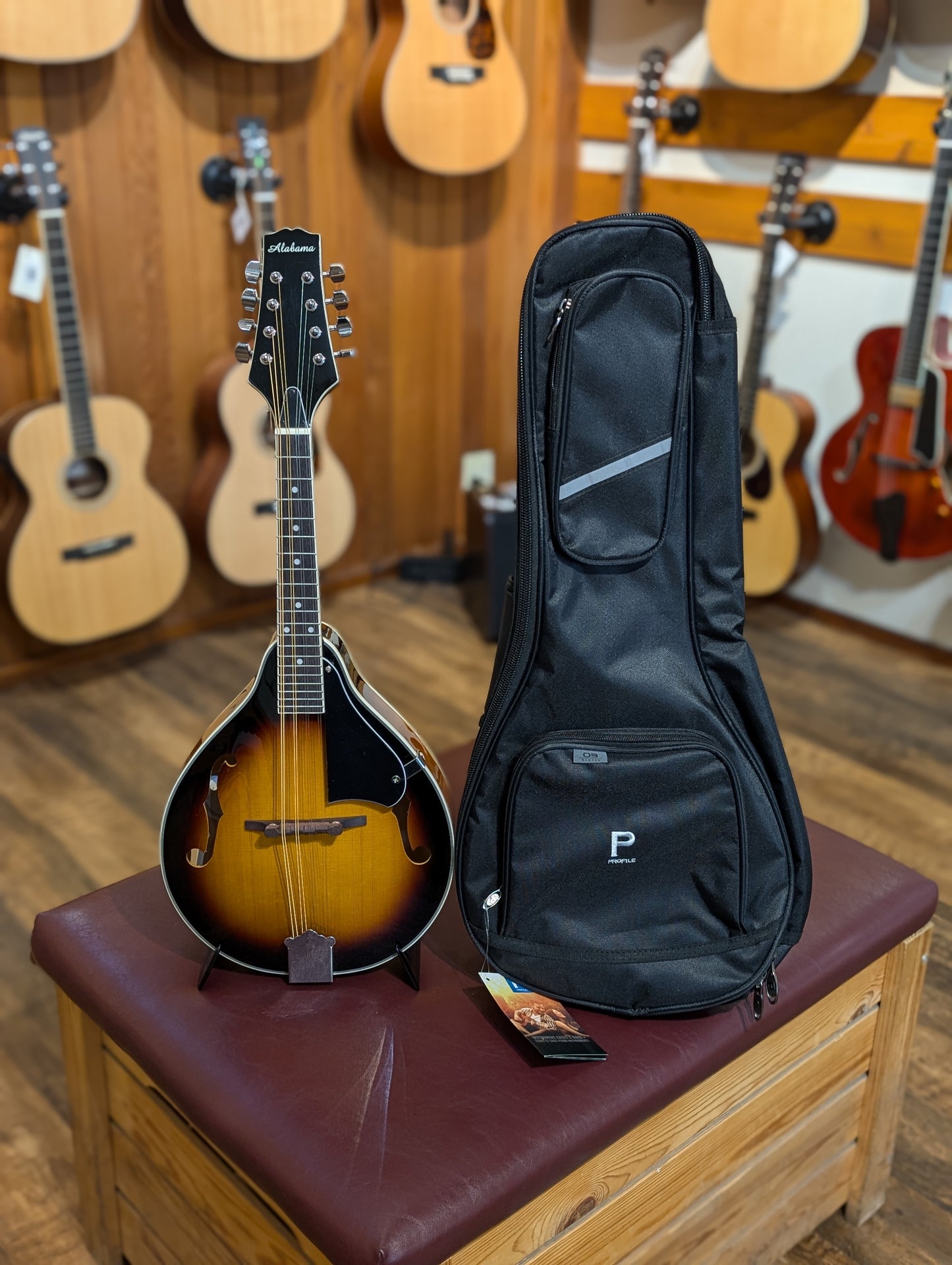 Alabama ALM20 A-Style Mandolin Bundle