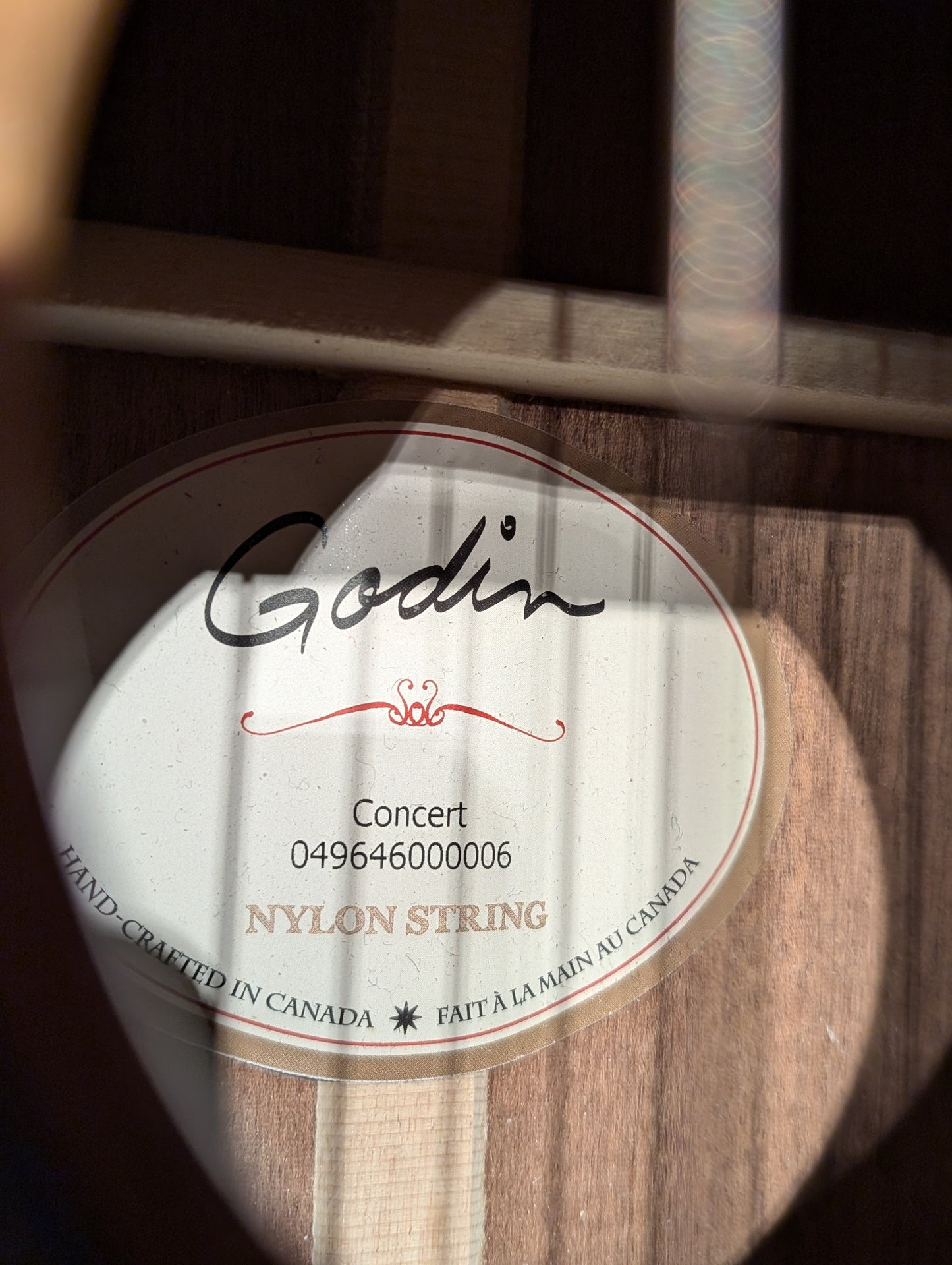 Godin Concert Classical Guitar w/Case (Used)
