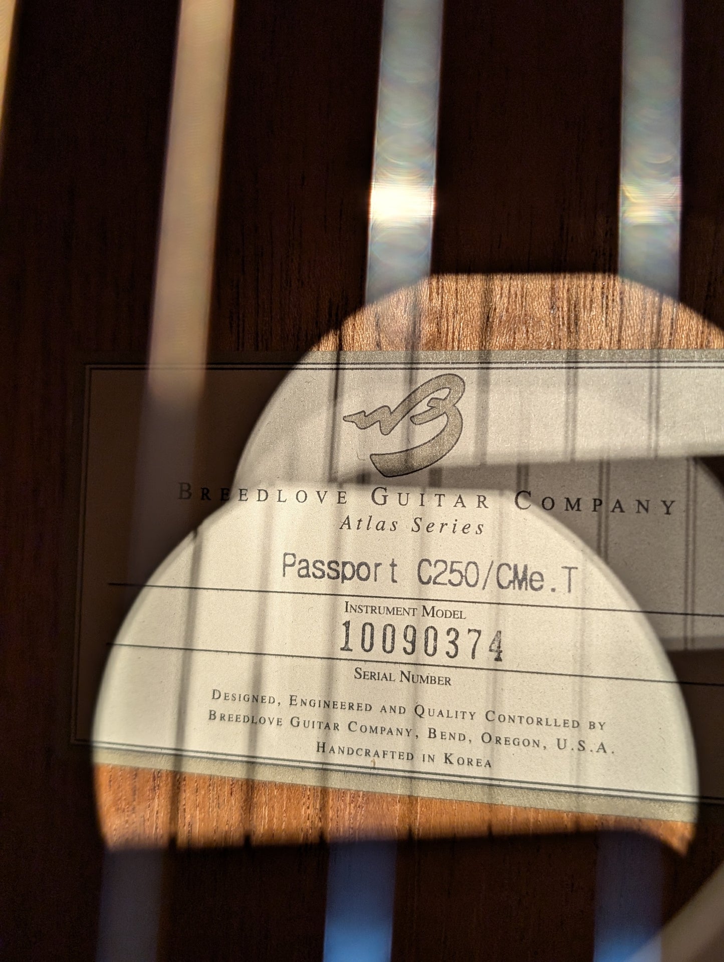 Breedlove Passport C250/CME Acoustic/Electric Travel Guitar w/Bag - Natural (2010)