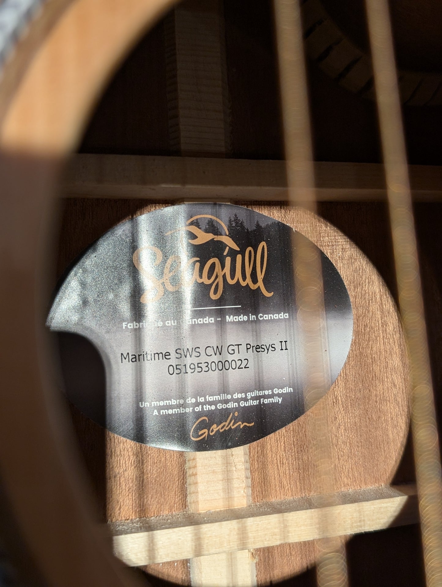 Seagull Maritime SWS CW GT Presys II (Used)