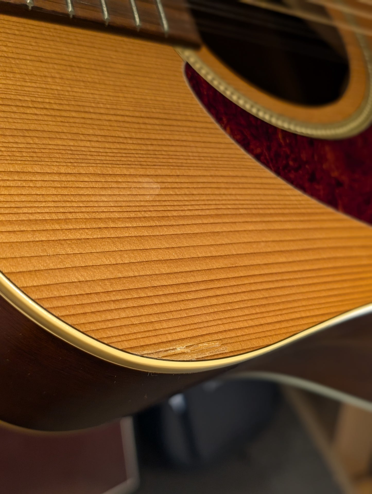 Seagull Coastline S12 Cedar 12-String Left Handed Acoustic Guitar w/Gig Bag (Used)