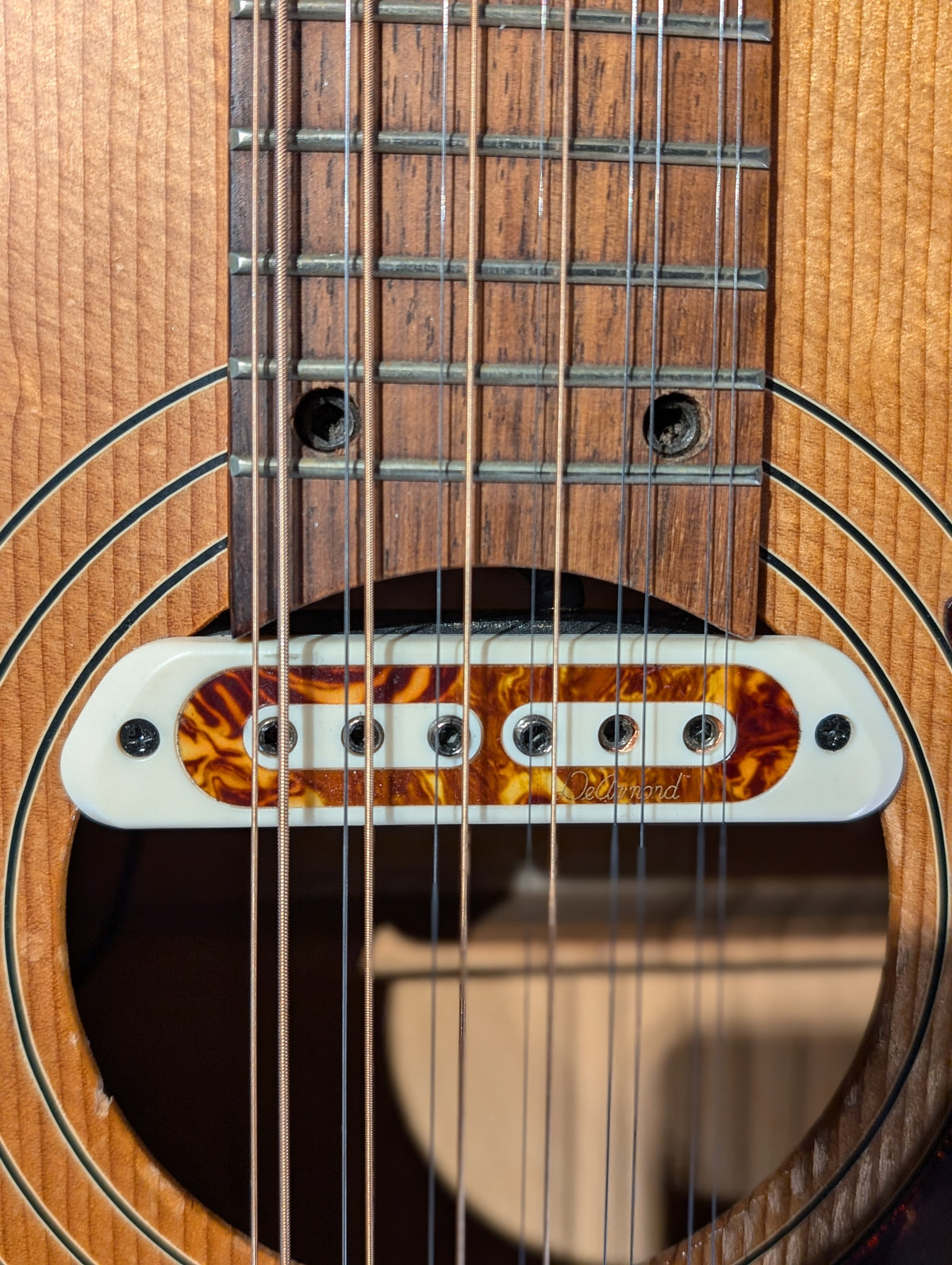 Norman B20-12 12-String Acoustic/Electric Guitar (1980's)