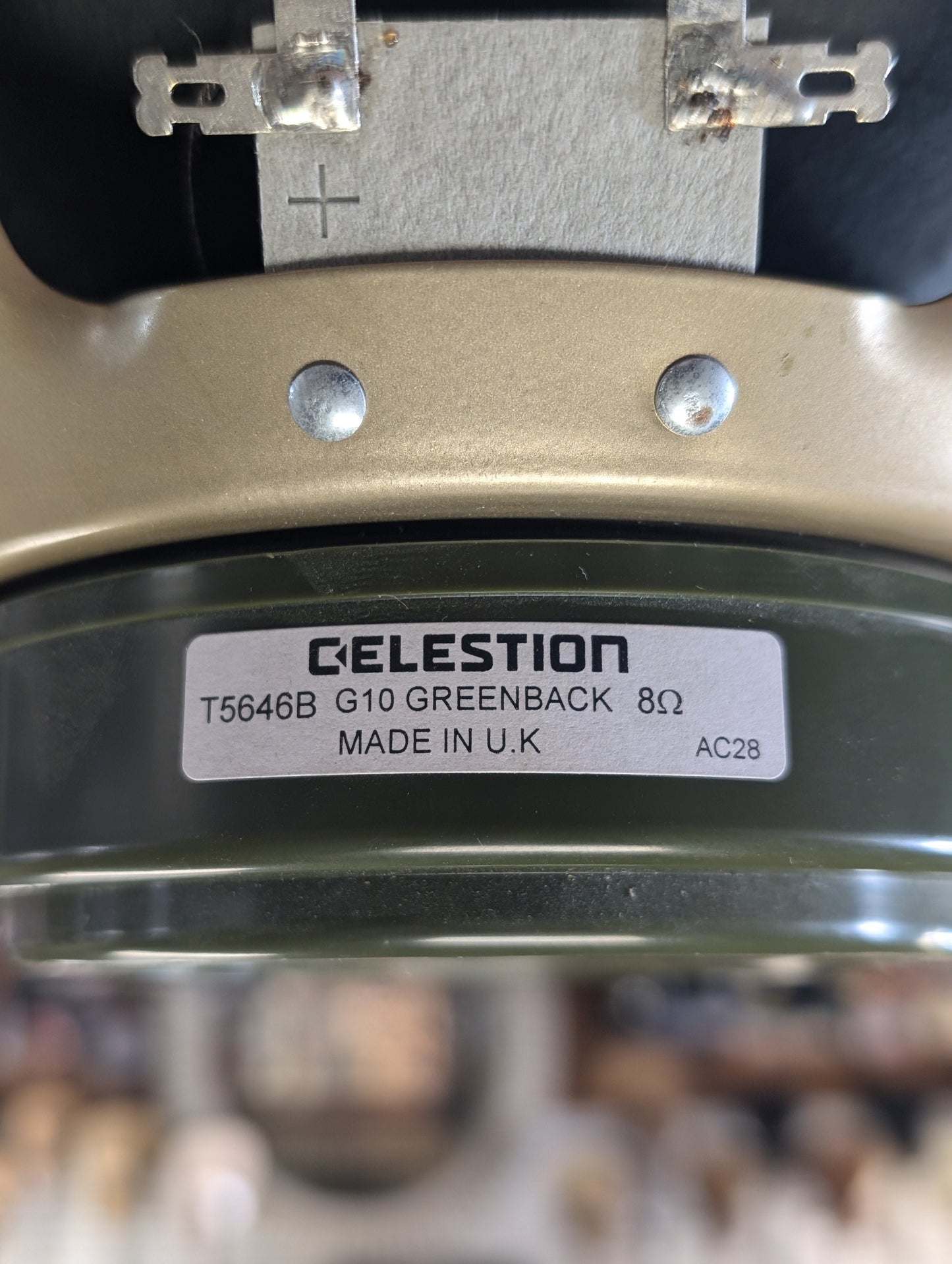 Celestion G10 Greenback 10" 30w 8ohm Guitar Speaker (Used)
