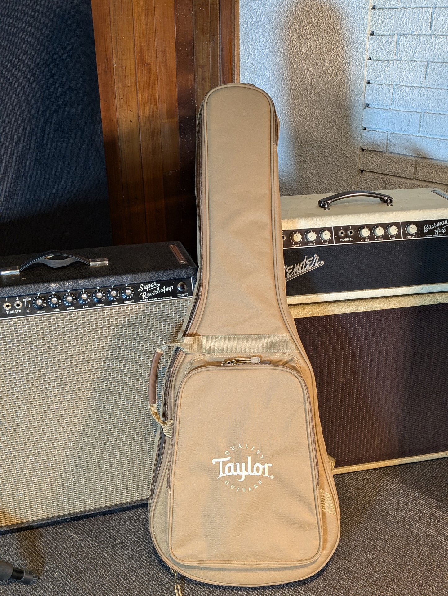 Taylor Academy 10e Acoustic/Electric Guitar w/Gig Bag (2022)