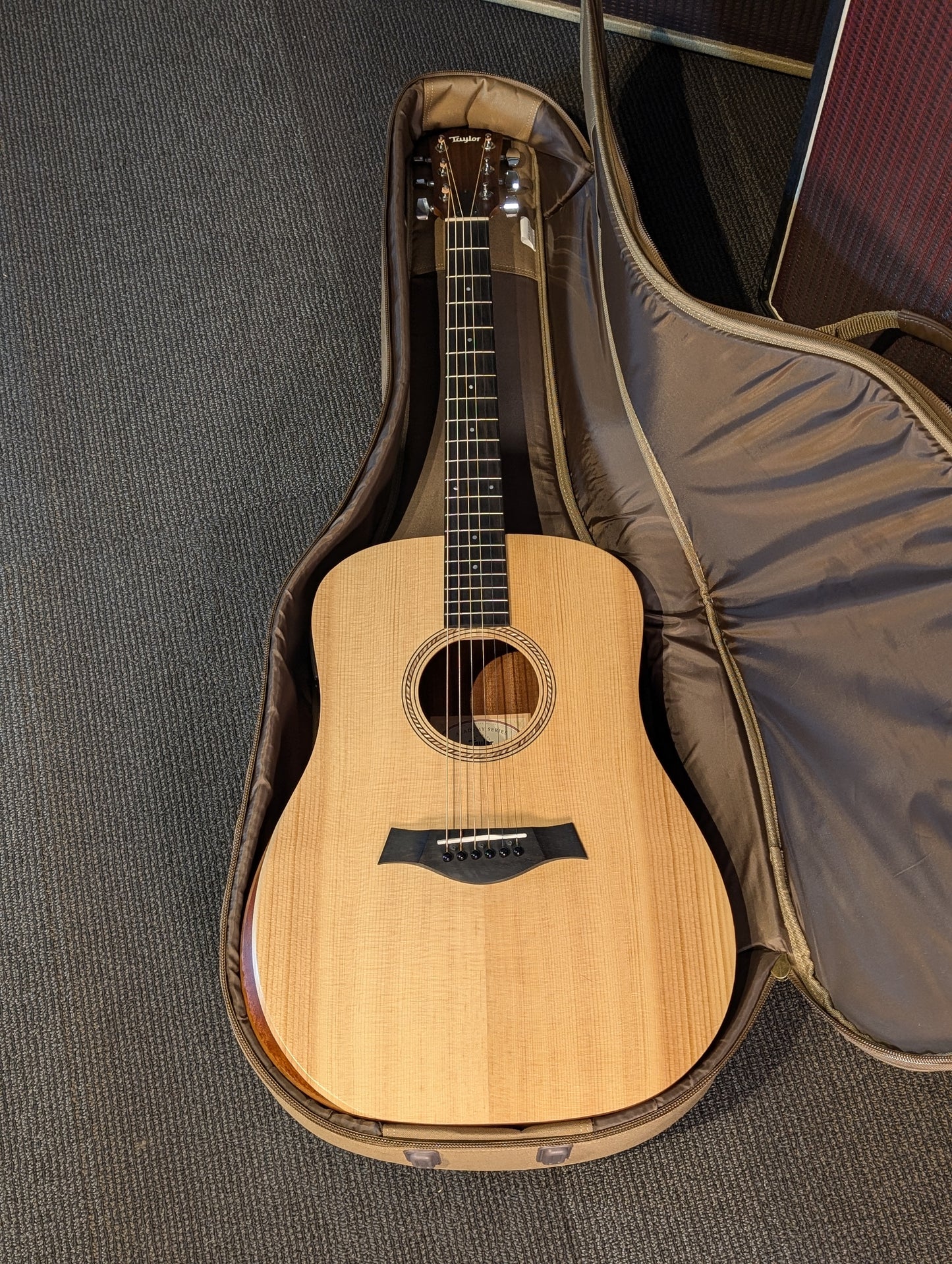 Taylor Academy 10e Acoustic/Electric Guitar w/Gig Bag (2022)