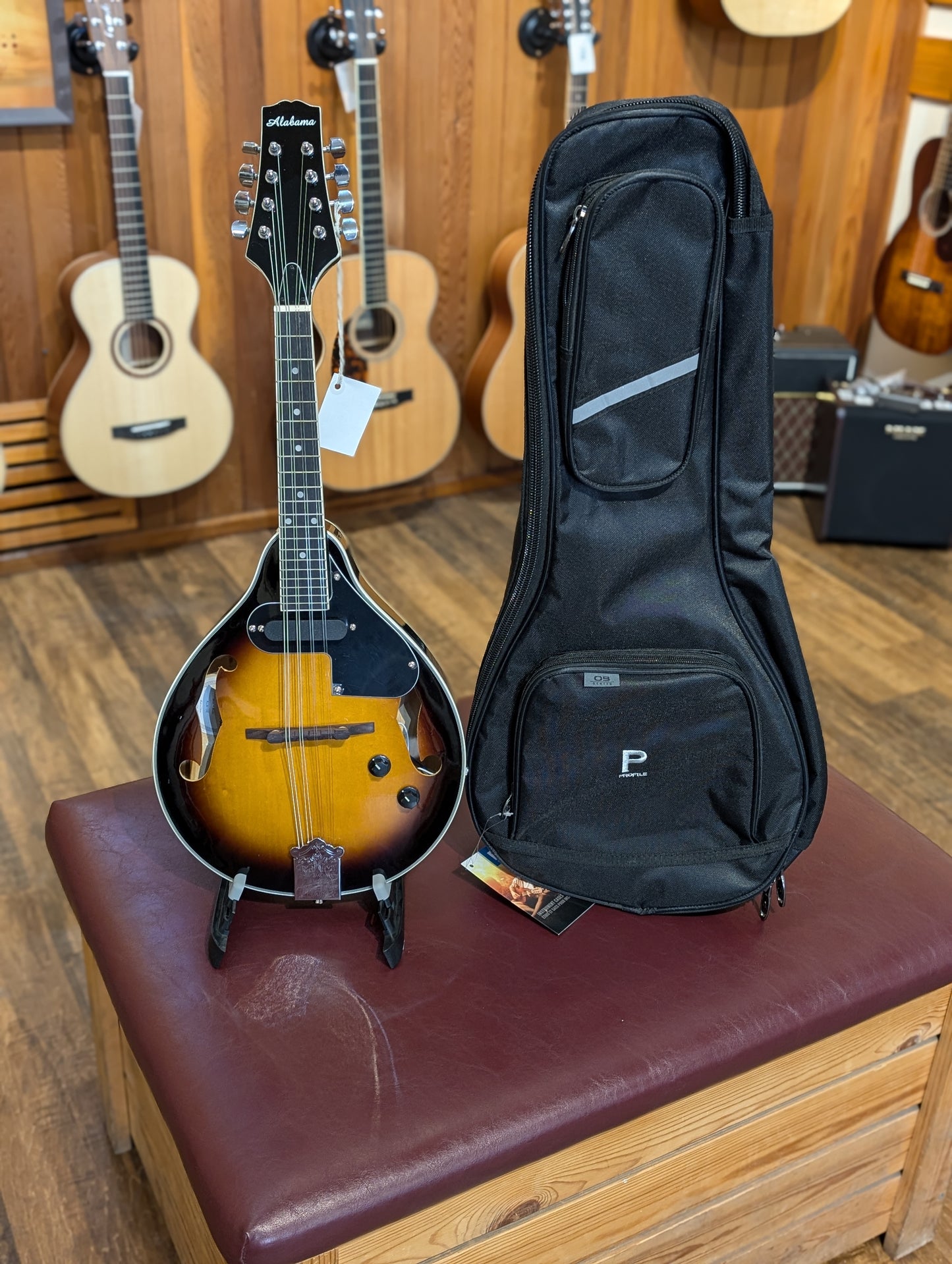 Alabama ALM15E A-Style Acoustic/Electric Mandolin Bundle